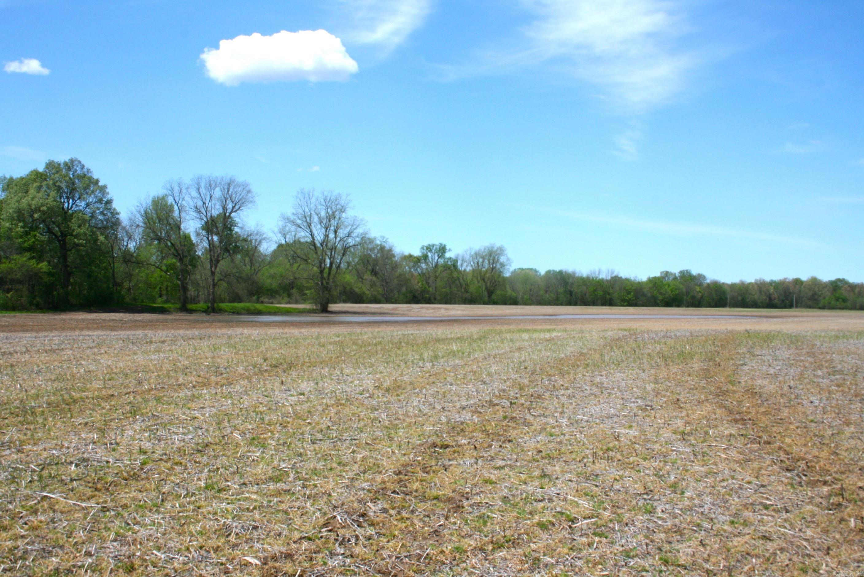 60 Acres Law 216 Property Photo 27