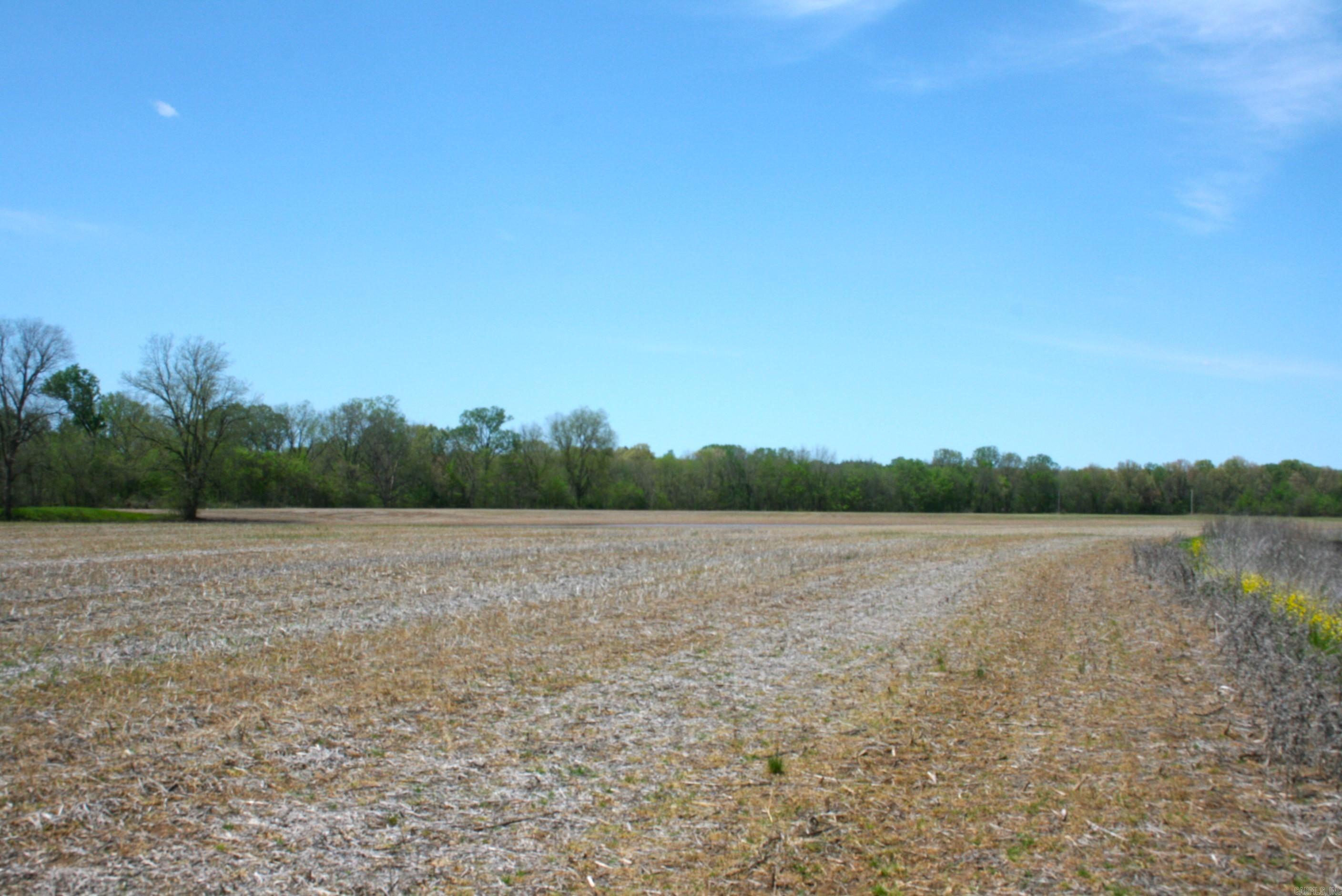 60 Acres Law 216 Property Photo 29