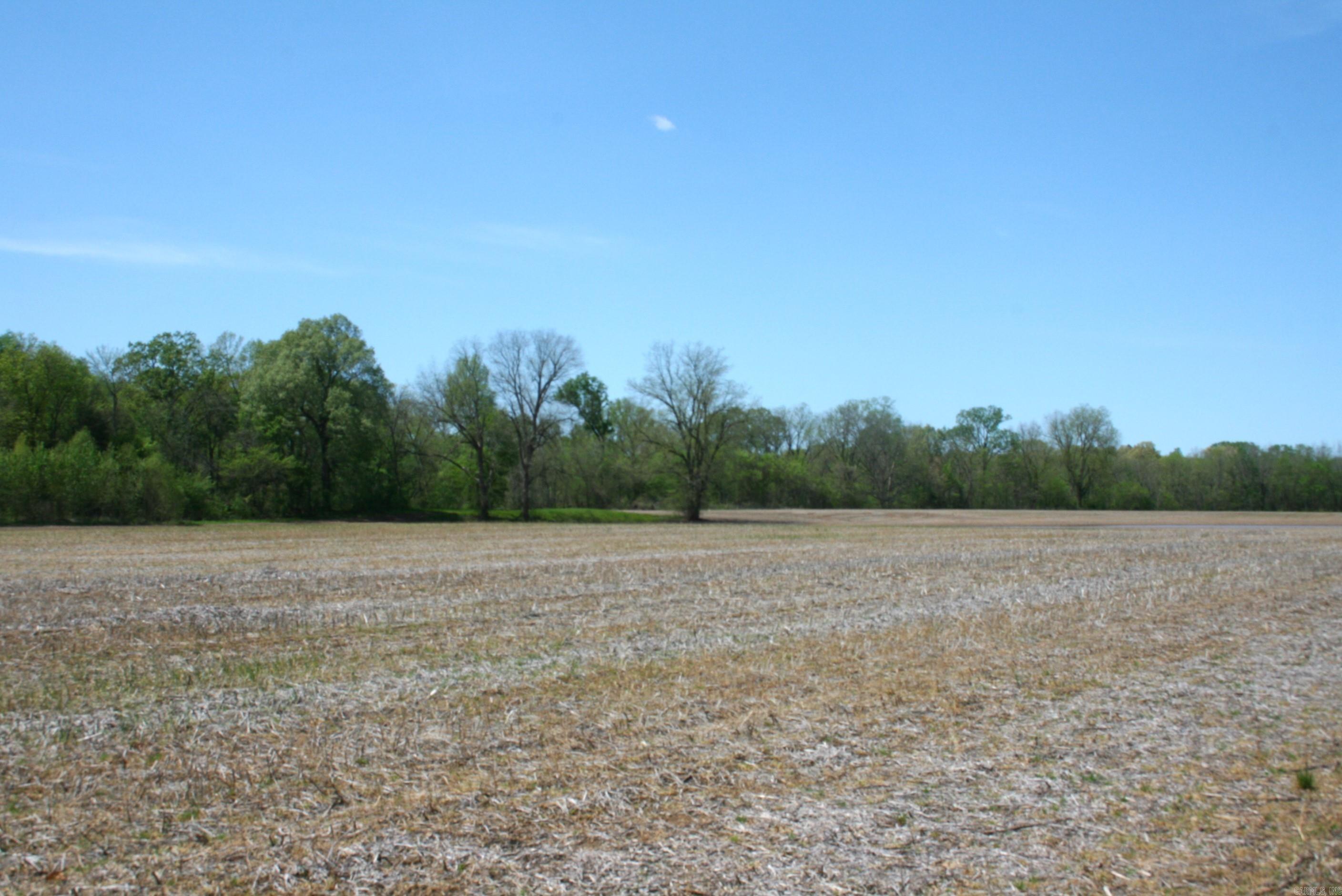 60 Acres Law 216 Property Photo 30