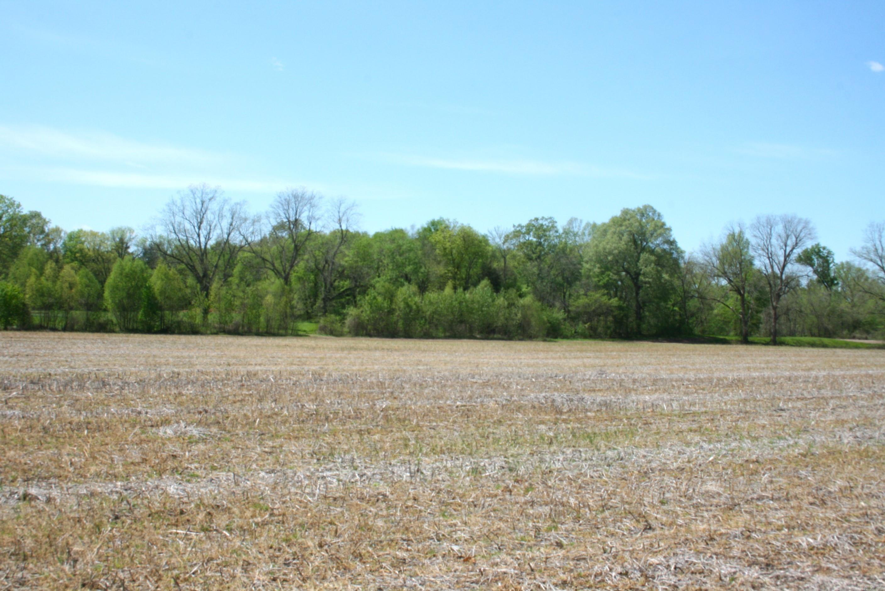 60 Acres Law 216 Property Photo 31