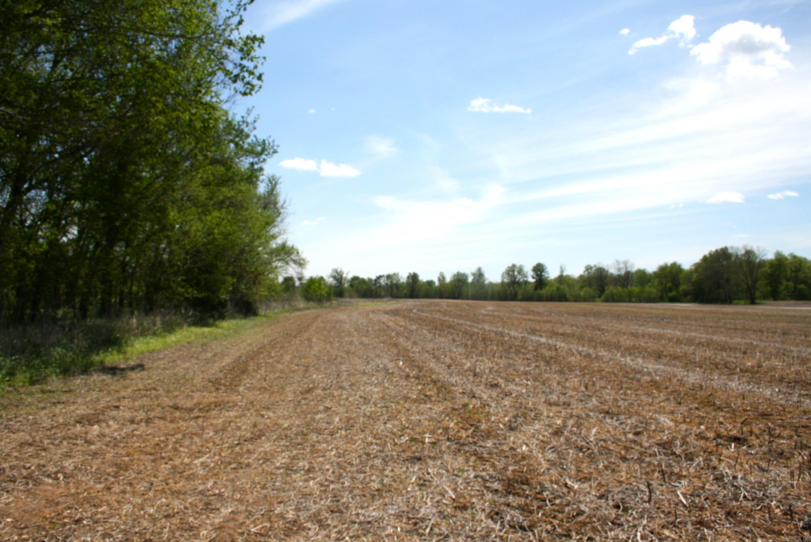 60 Acres Law 216 Property Photo 32