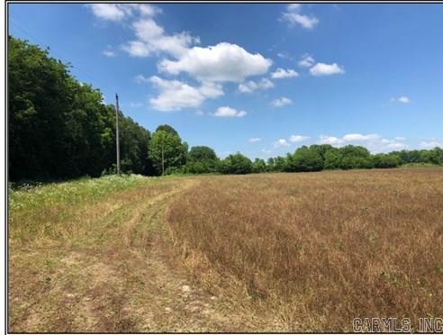 60 Acres Law 216 Property Photo 33
