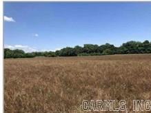 60 Acres Law 216 Property Photo 34