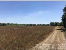 60 Acres Law 216 Property Photo 35