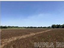 60 Acres Law 216 Property Photo 37