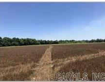 60 Acres Law 216 Property Photo 38