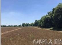 60 Acres Law 216 Property Photo 39