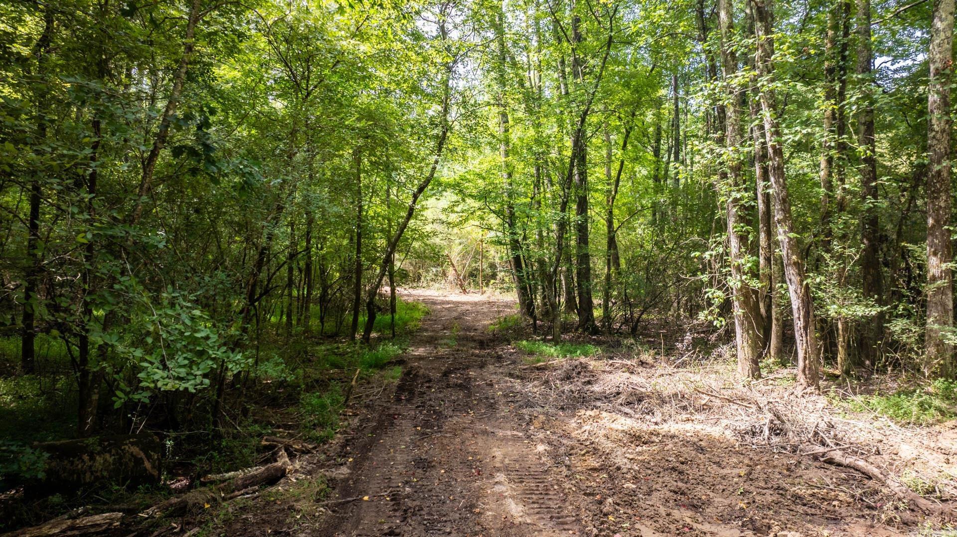 14524 Lawson Road Property Photo 44