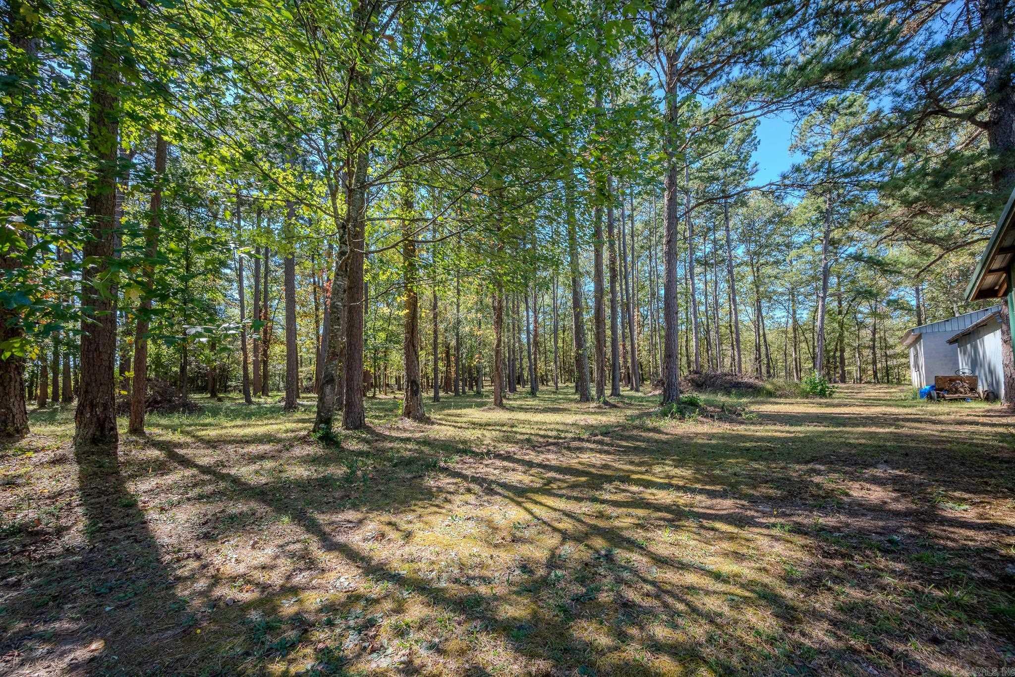 106 Elk Drive Property Photo 7