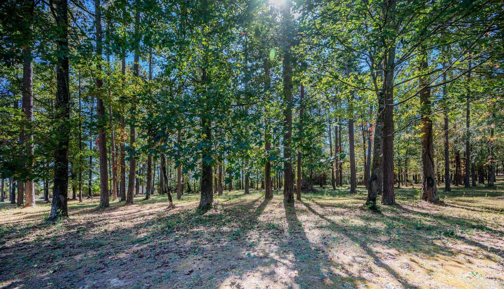 106 Elk Drive Property Photo 8