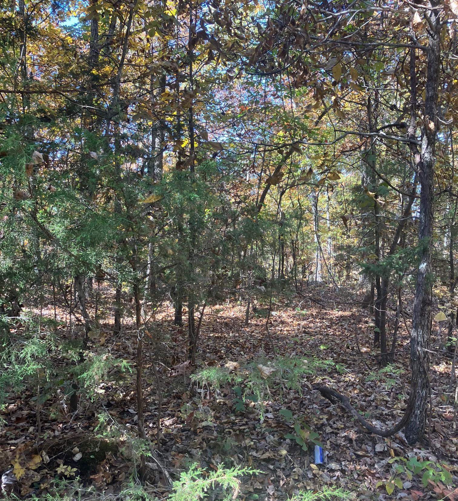 Tbd Pinecrest Road Property Photo 3