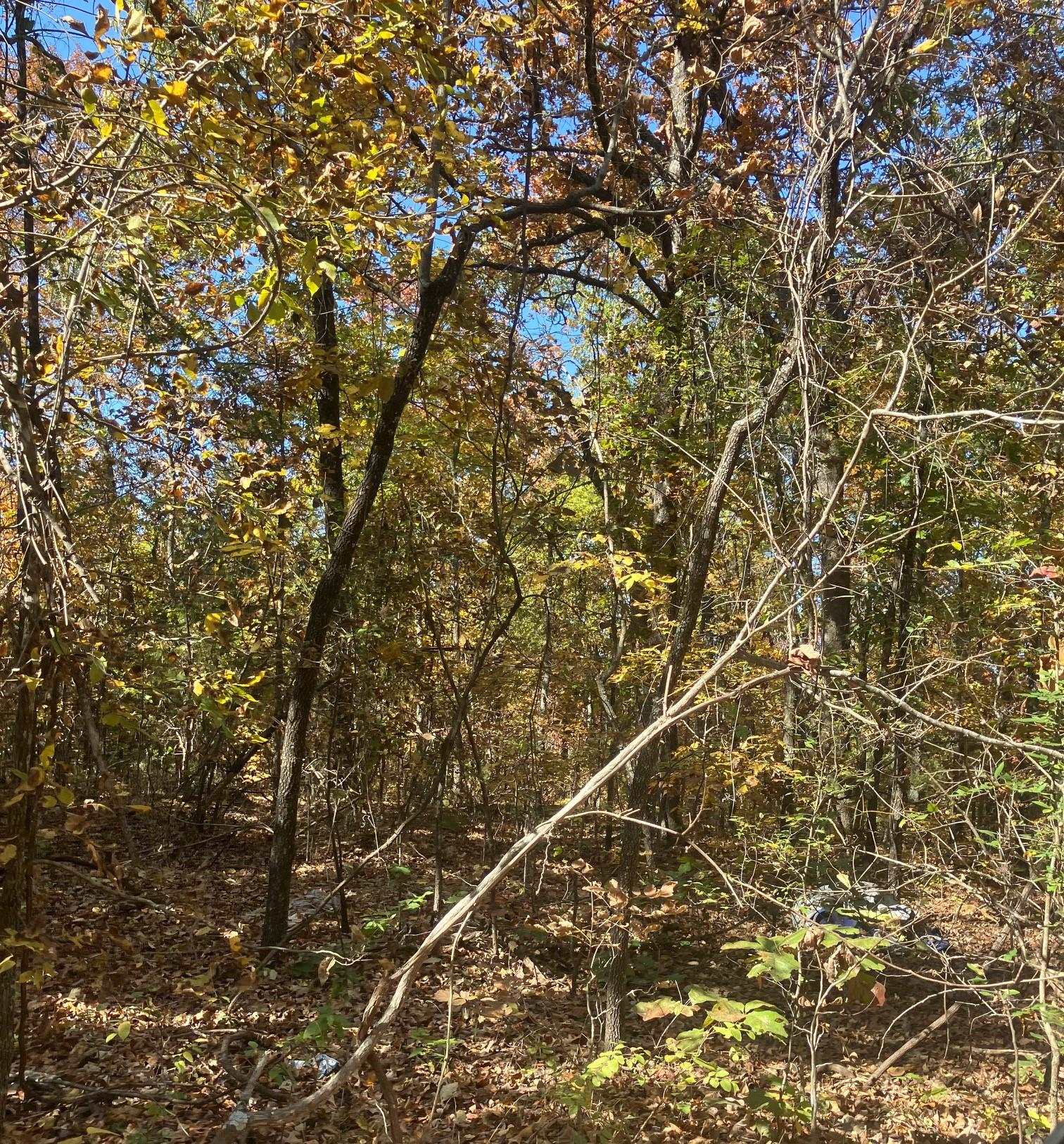 Tbd Pinecrest Road Property Photo 4
