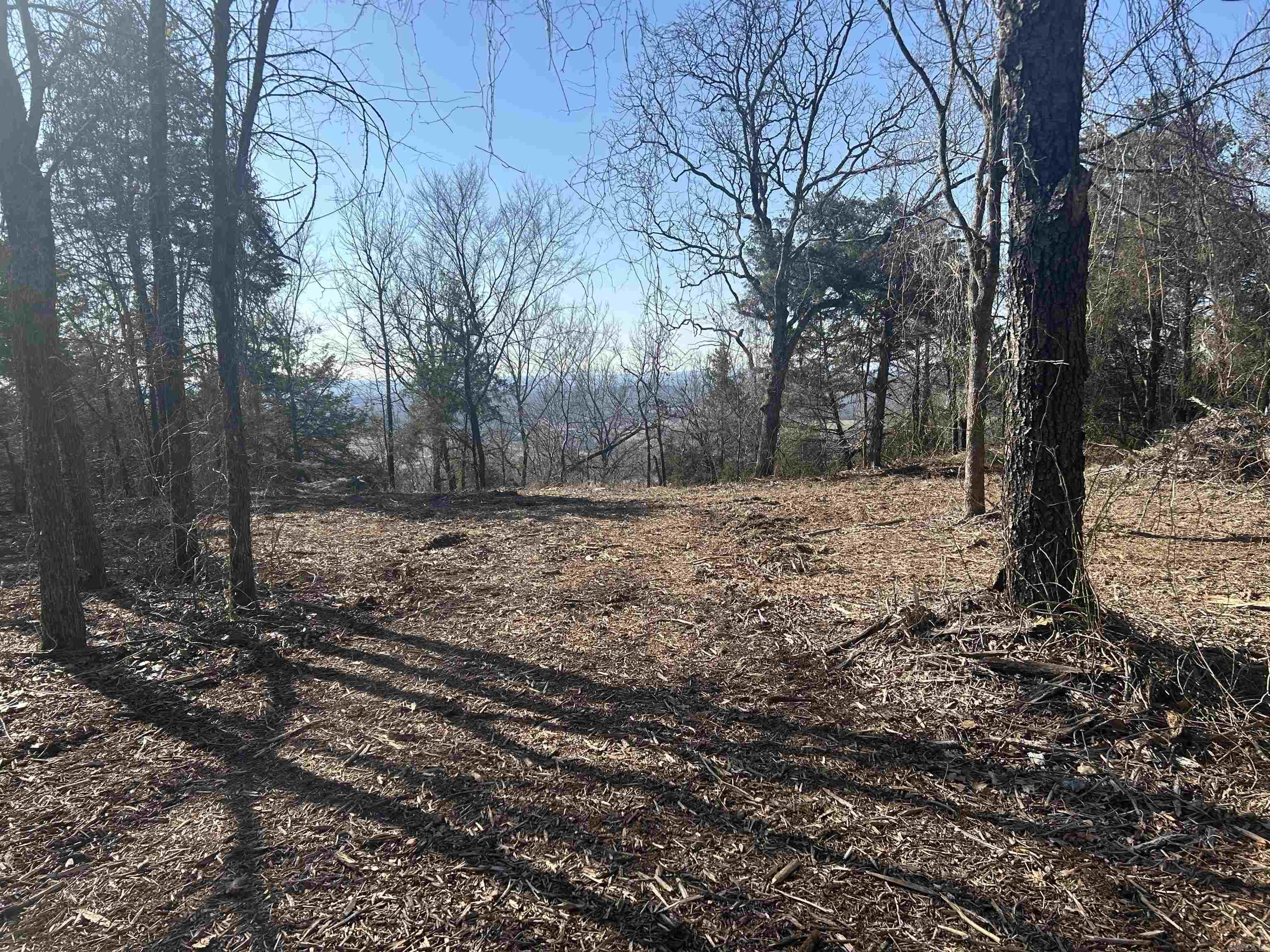 536 Leonard Lane Property Photo 1