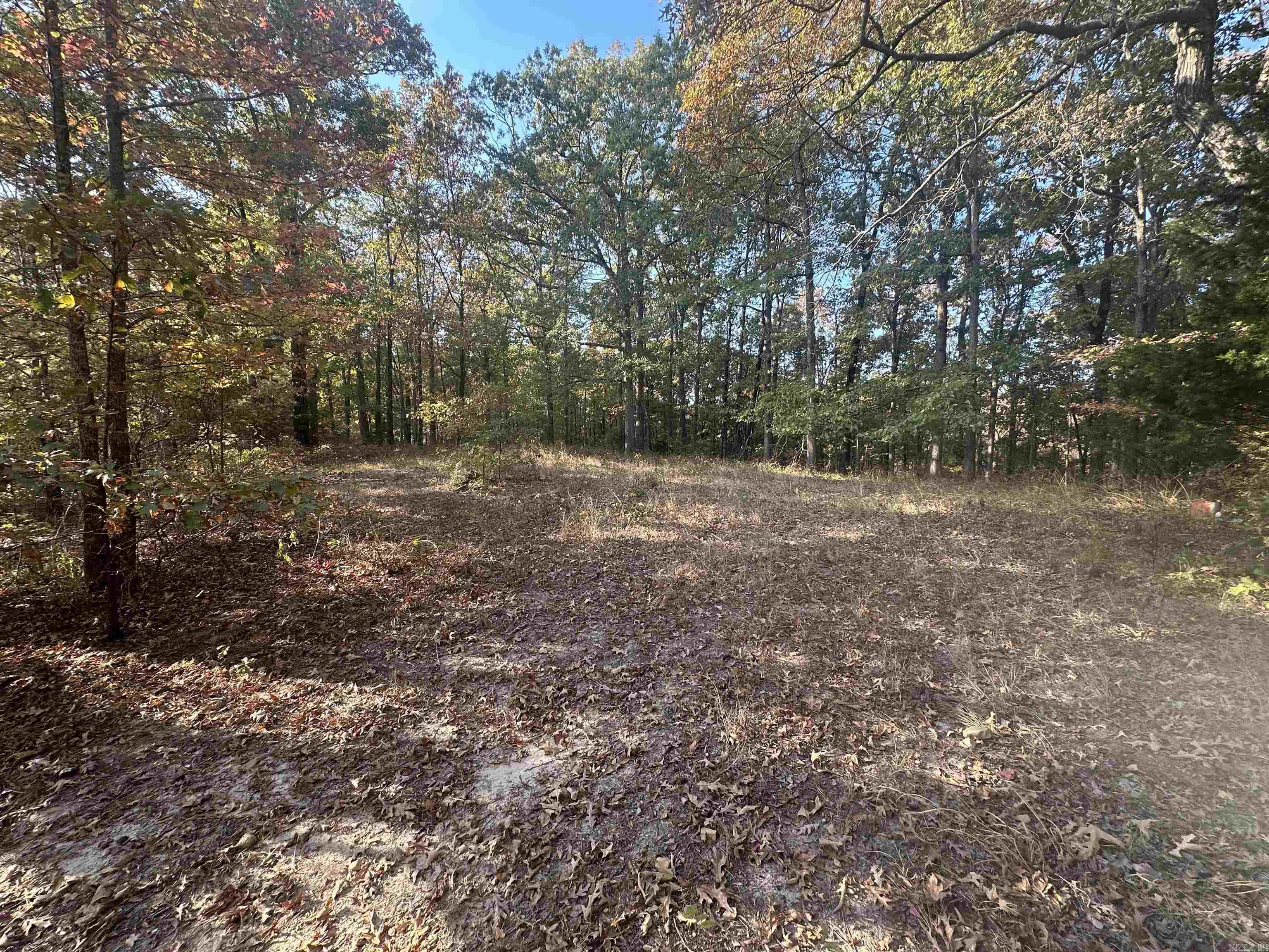 XX Horizon Pl Property Photo 1