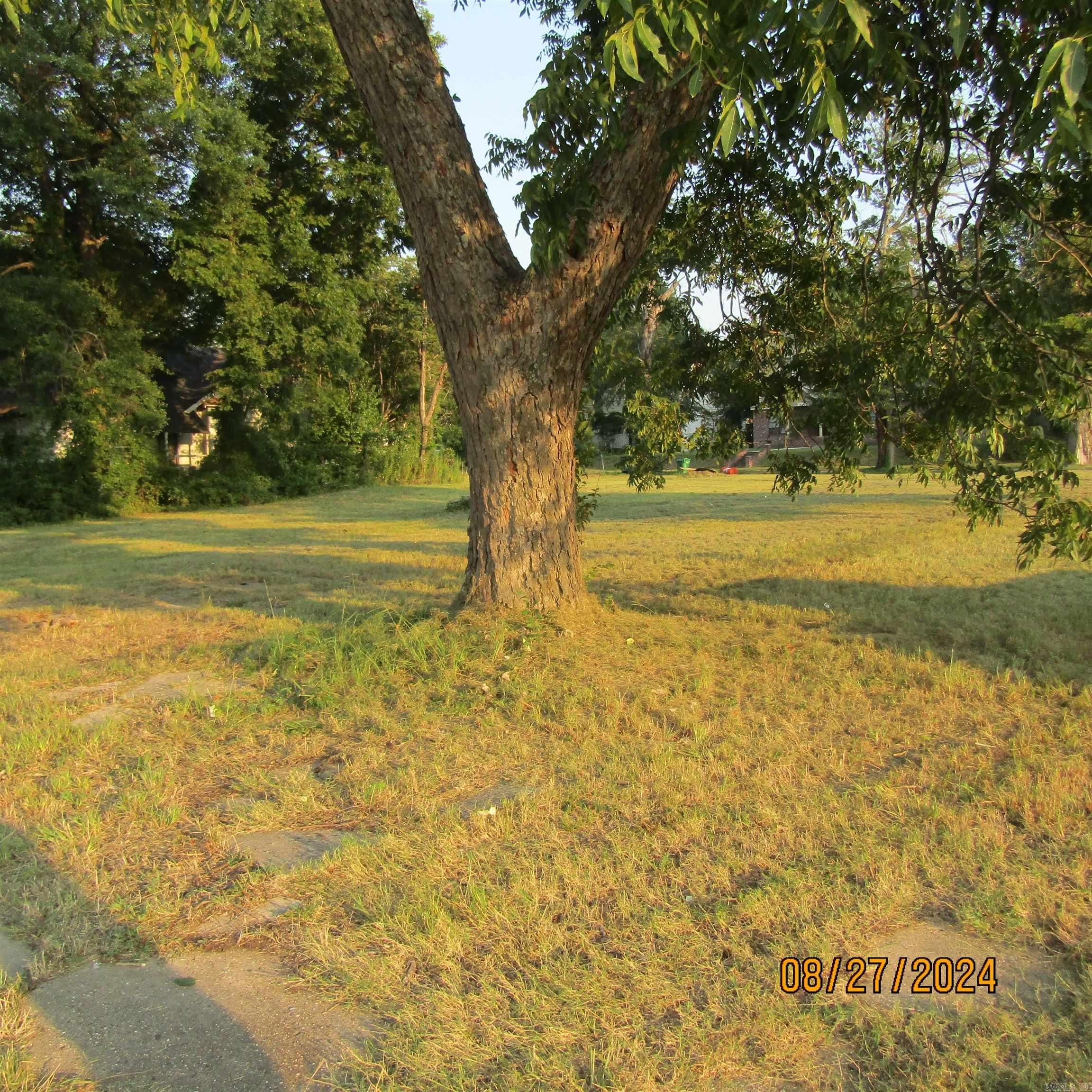1019 S Olive St Property Photo 5