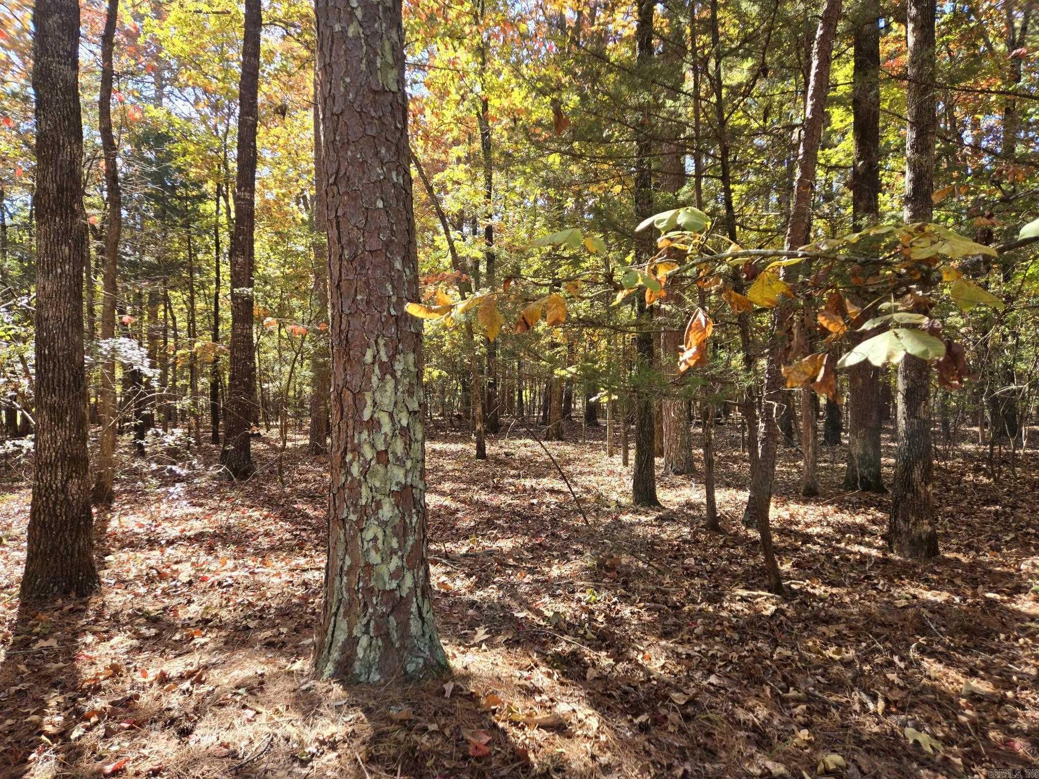 Lot 149 Grenada Circle Property Photo