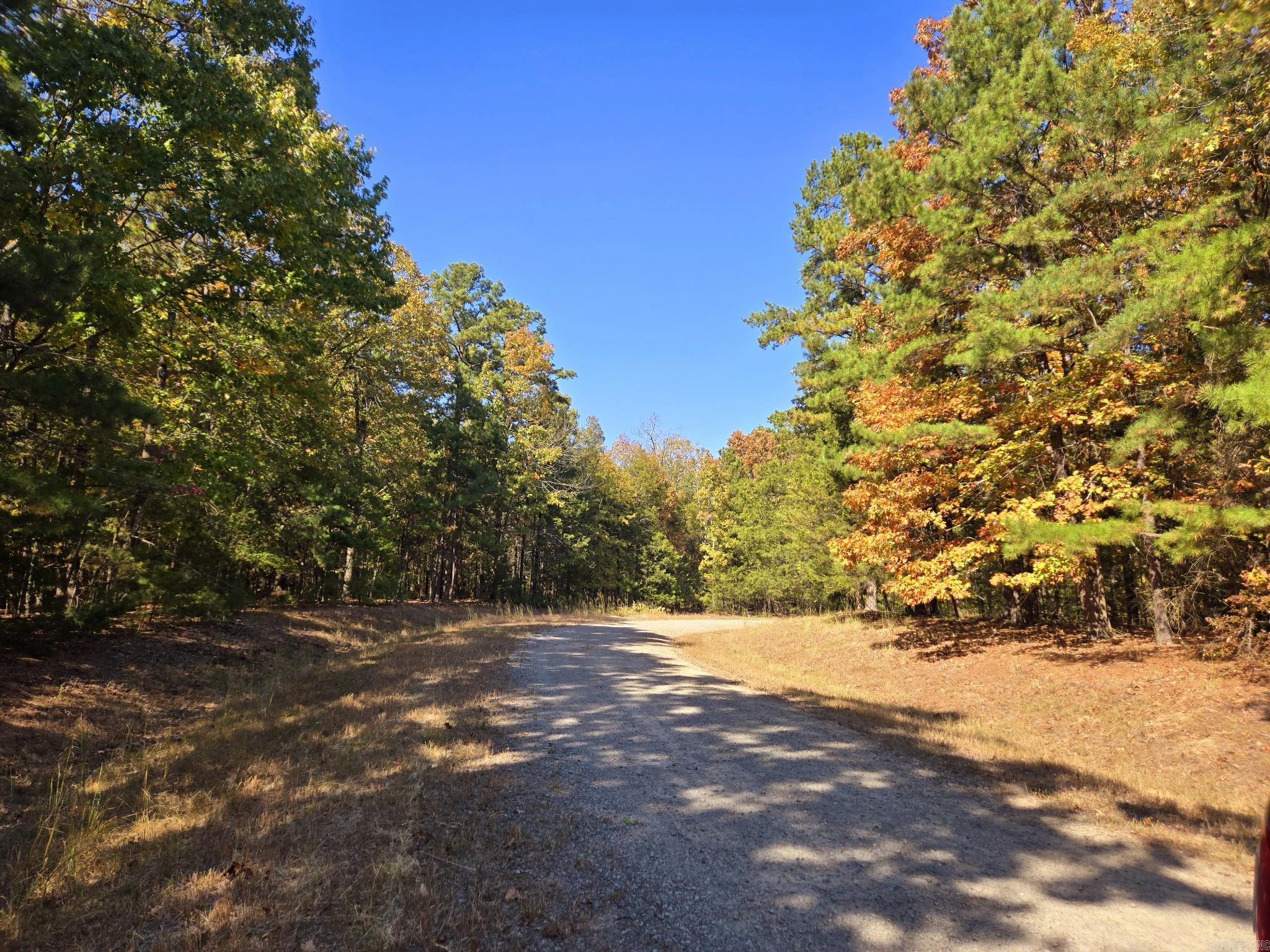 Lot 149 Grenada Circle Property Photo 3