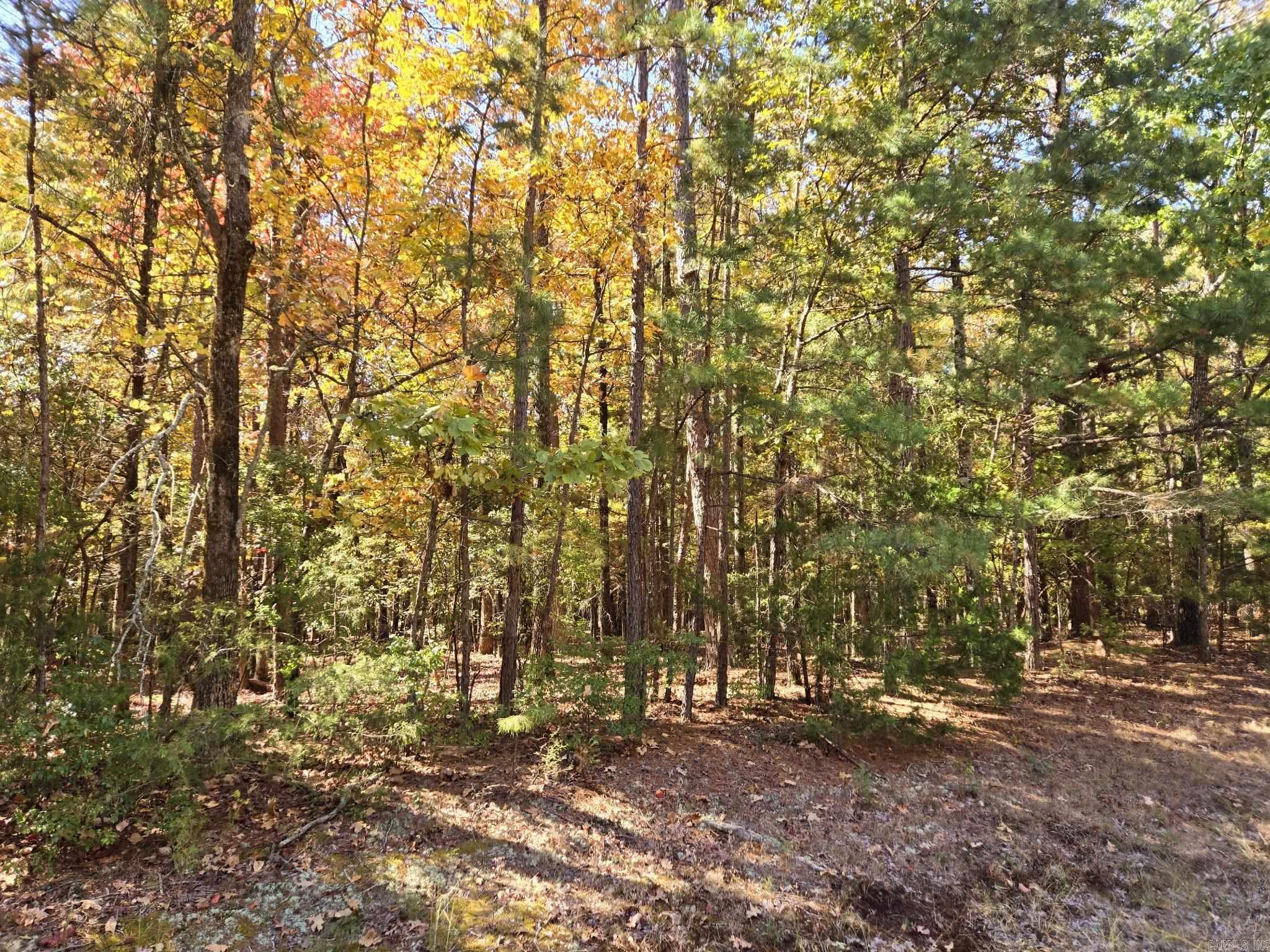 Lot 149 Grenada Circle Property Photo 4