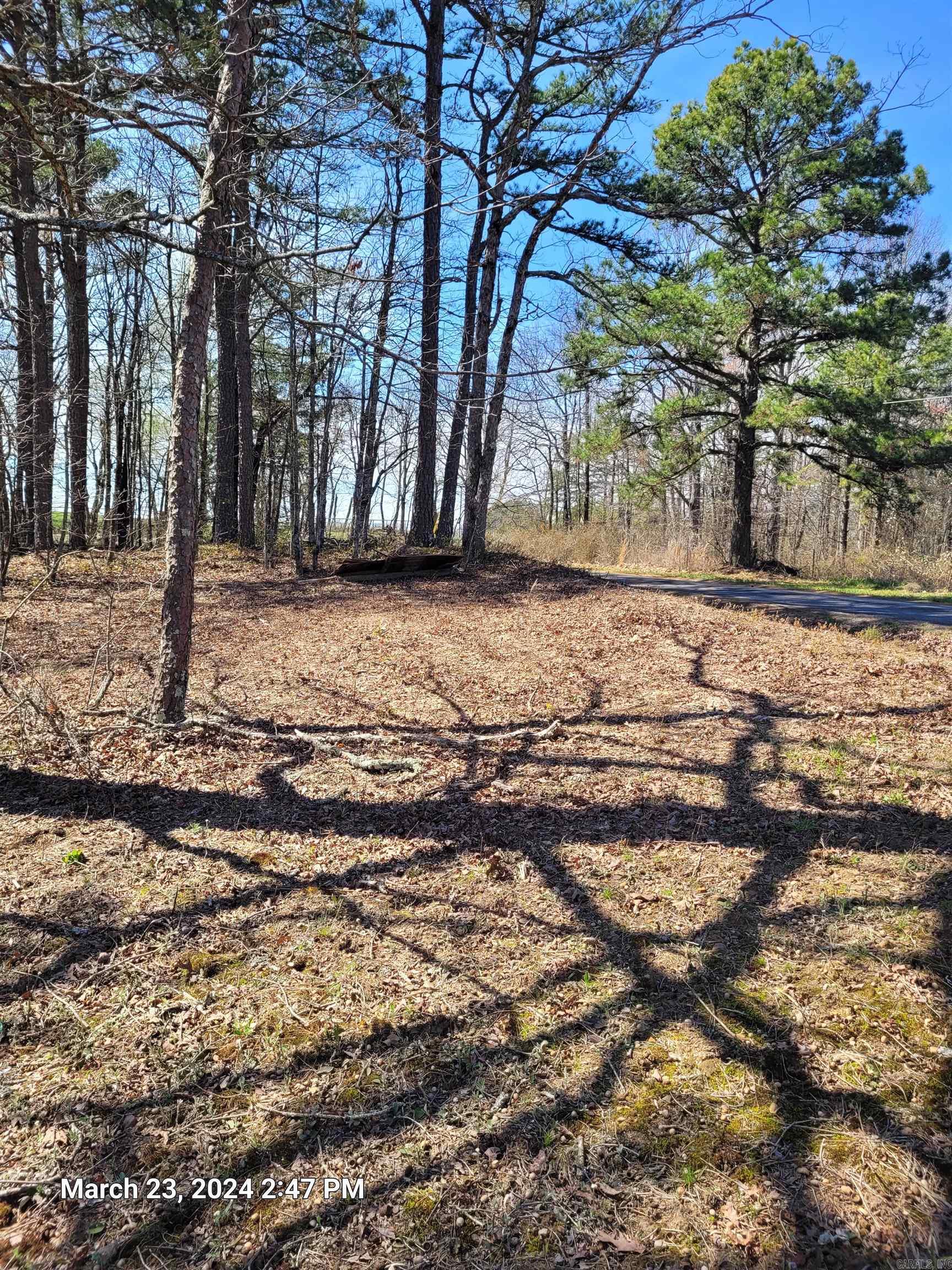 102 Pumpkin Center Road Road Property Photo 2