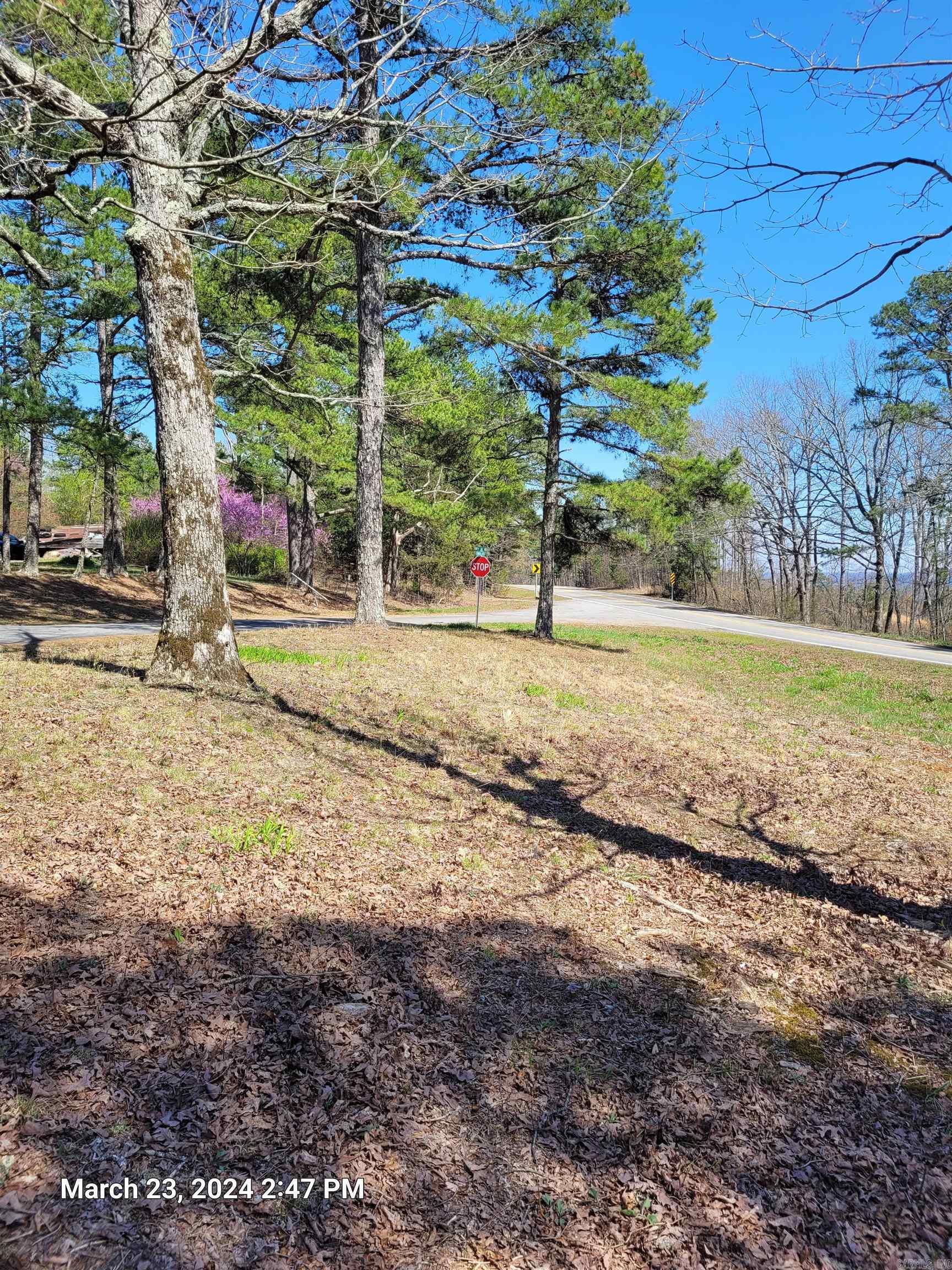 102 Pumpkin Center Road Road Property Photo 3