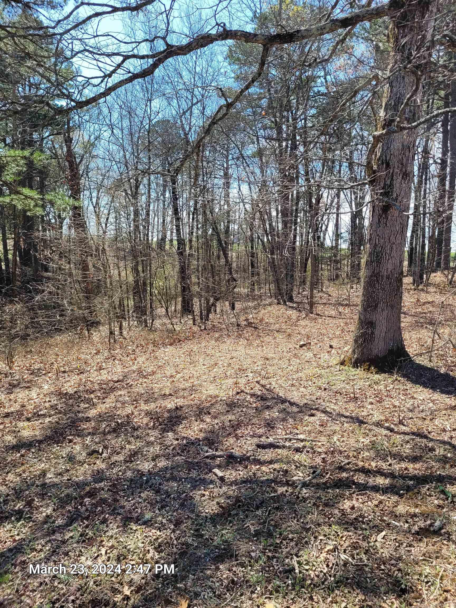 102 Pumpkin Center Road Road Property Photo 5