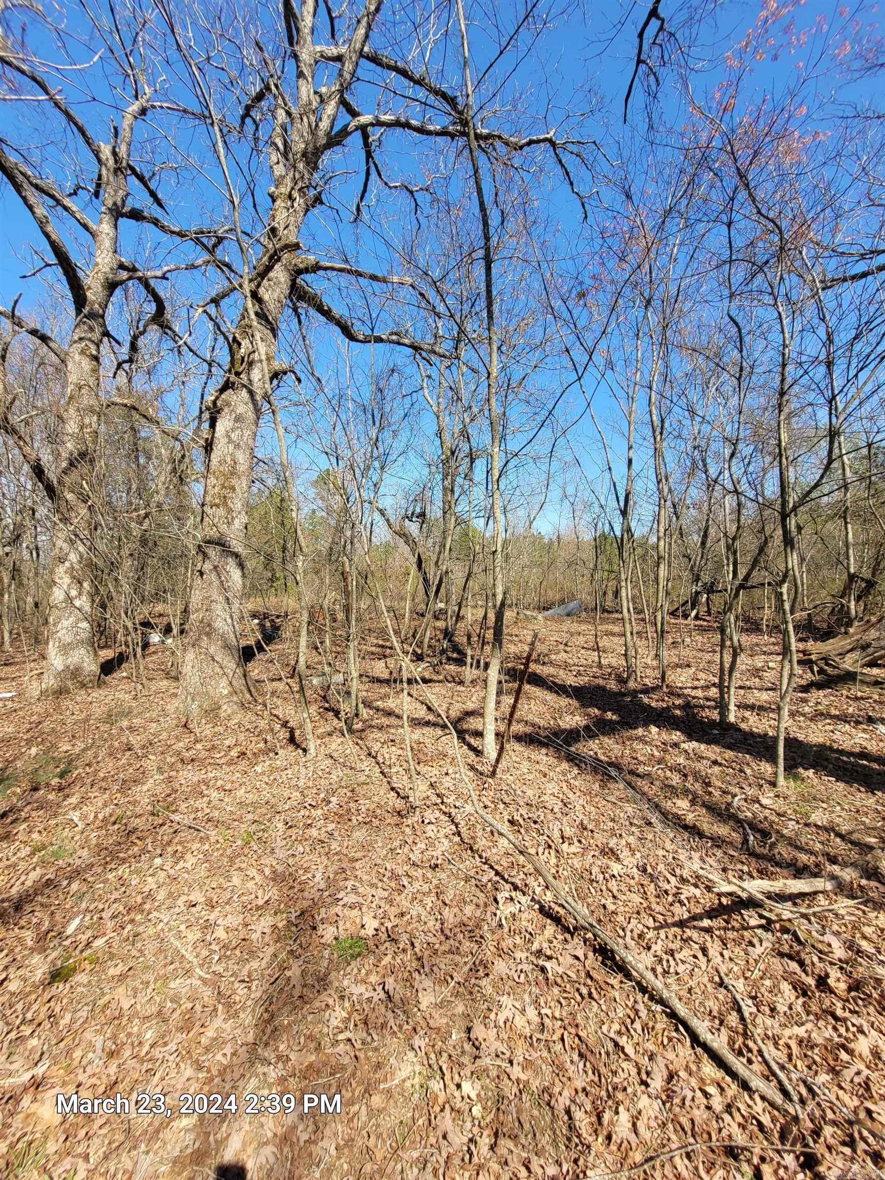 102 Pumpkin Center Road Road Property Photo 6