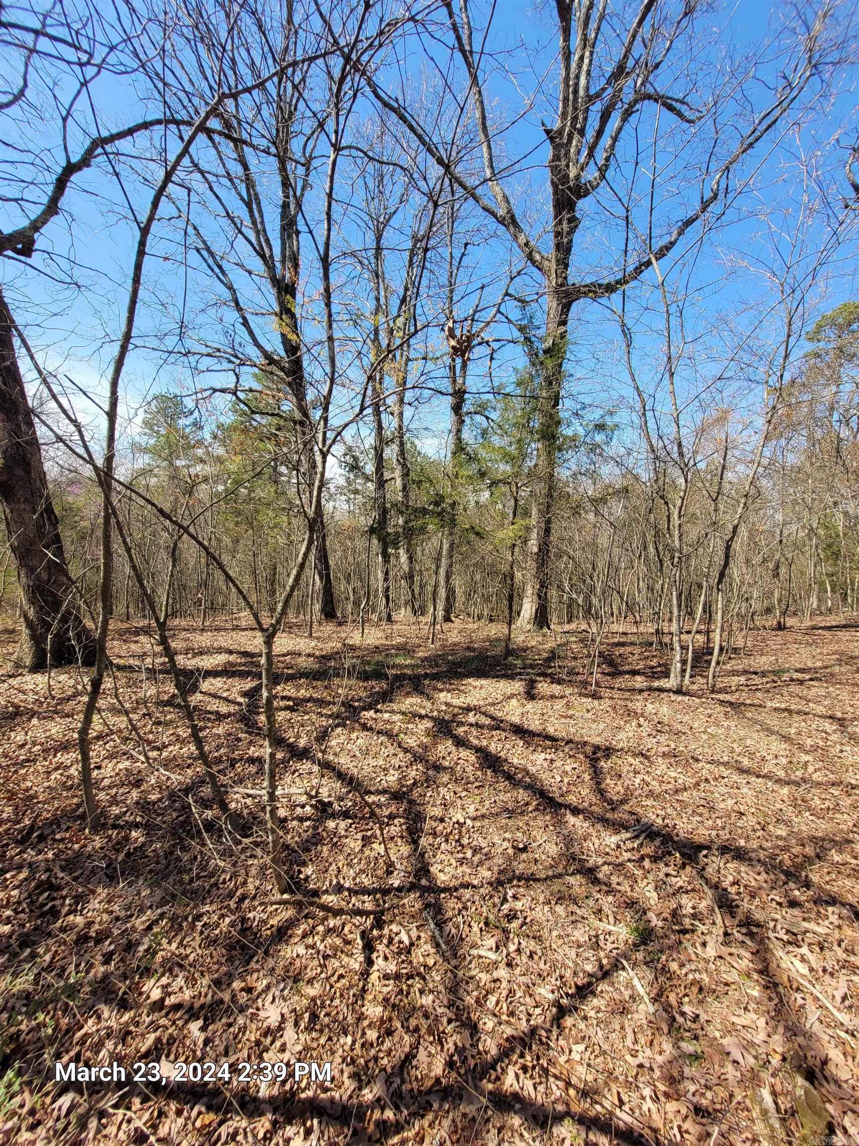 102 Pumpkin Center Road Road Property Photo 7