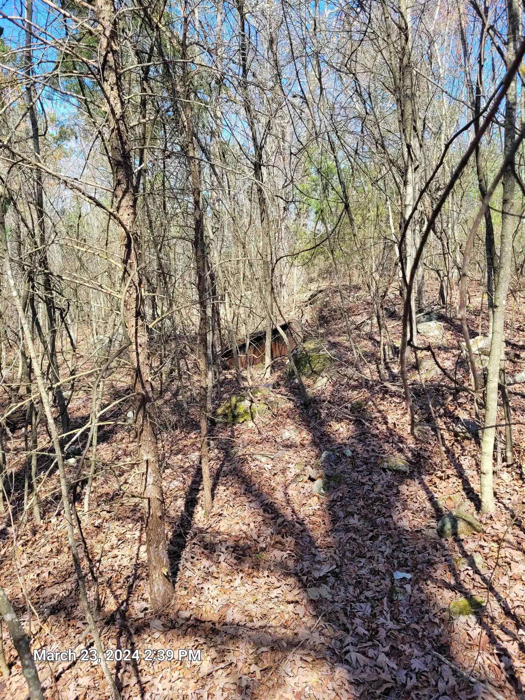 102 Pumpkin Center Road Road Property Photo 8