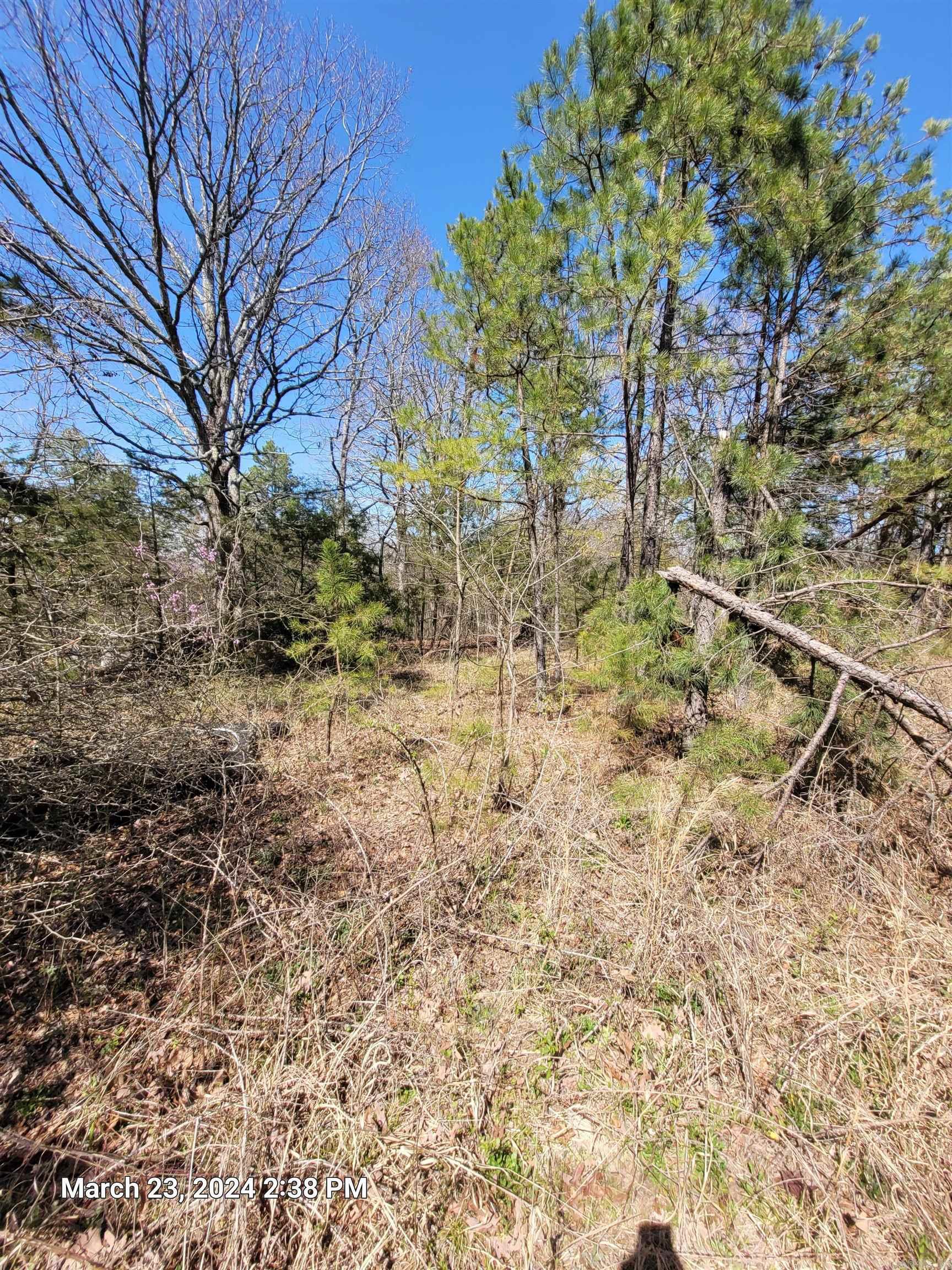 102 Pumpkin Center Road Road Property Photo 10