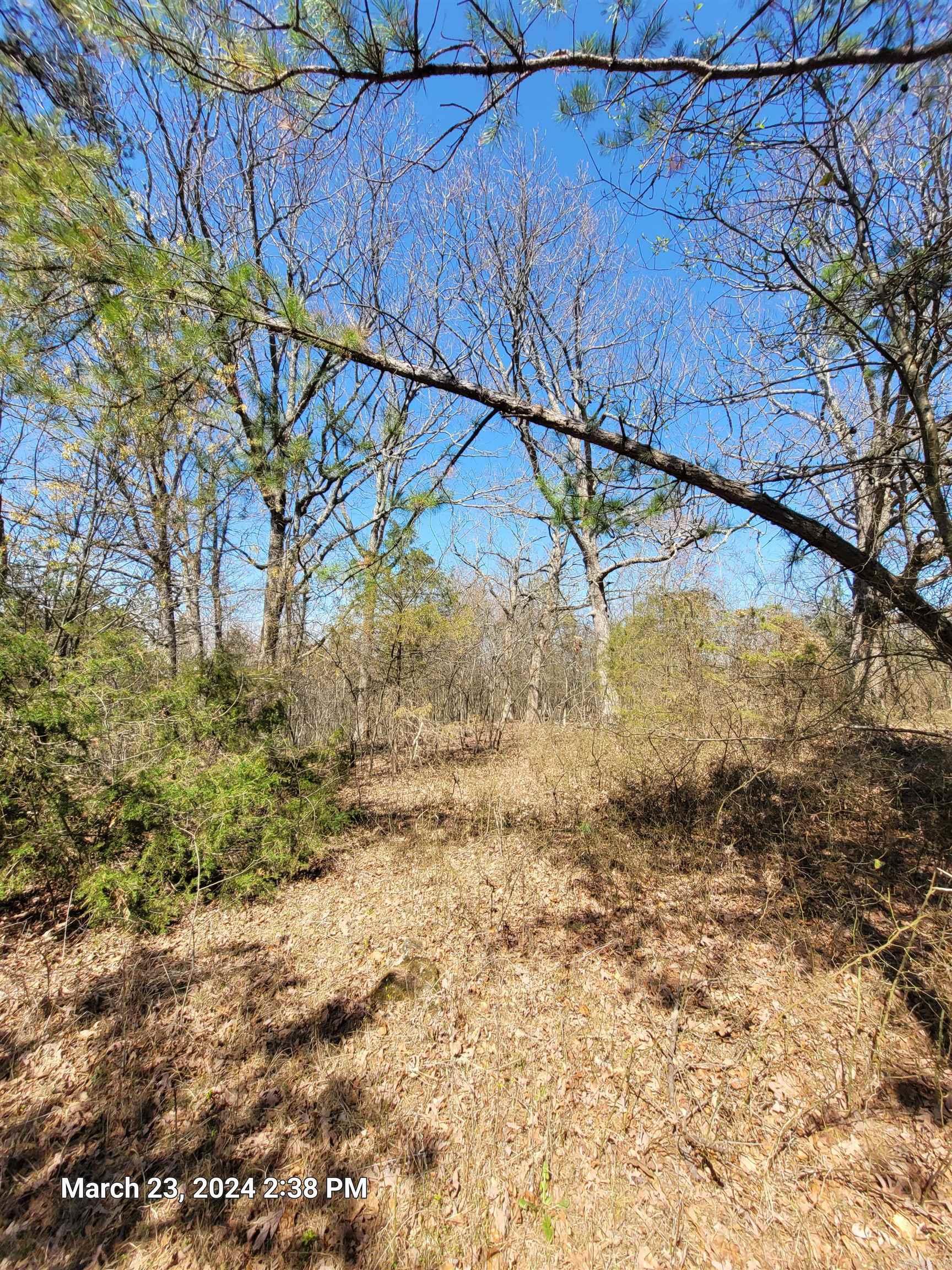 102 Pumpkin Center Road Road Property Photo 11