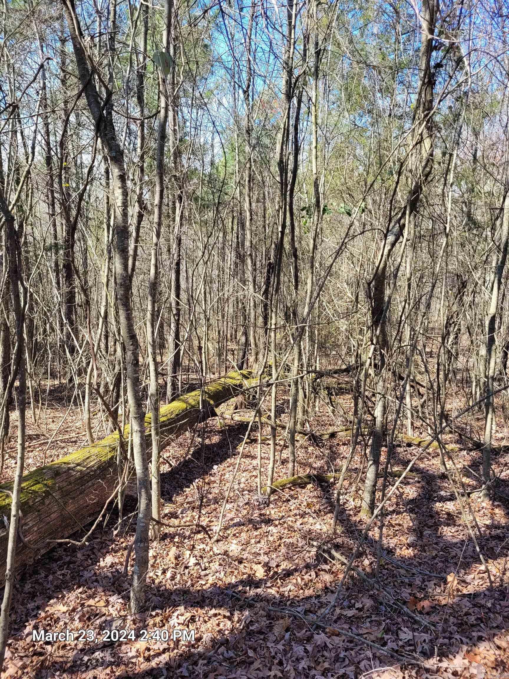 102 Pumpkin Center Road Road Property Photo 12