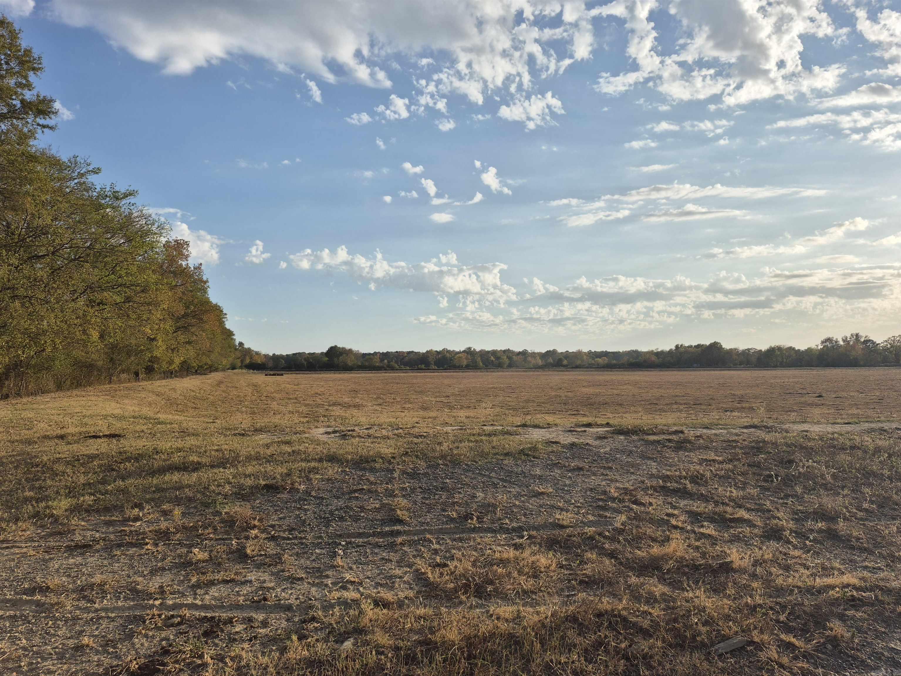 2933 Grigsby Ford Rd Property Photo 1