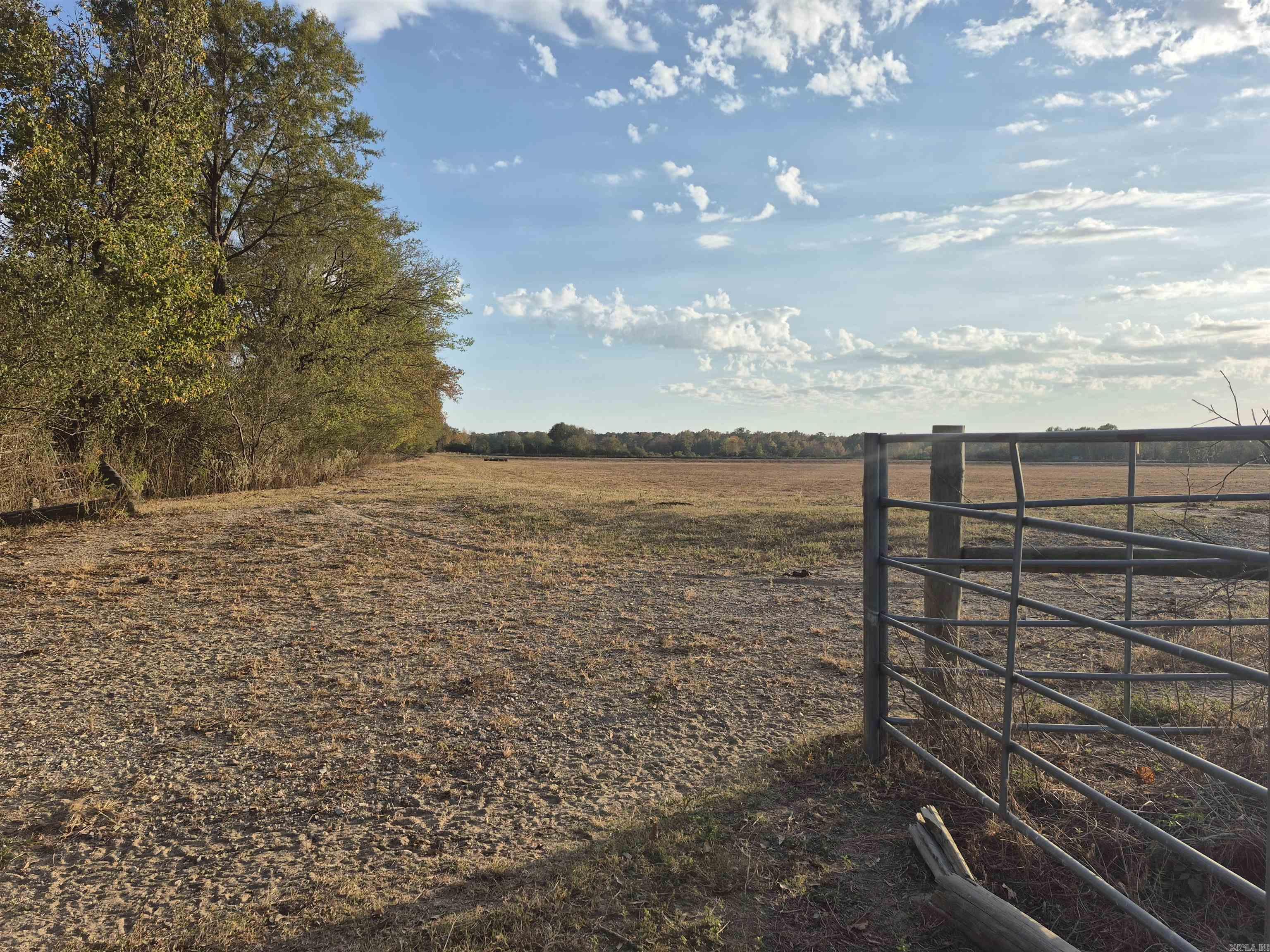 2933 Grigsby Ford Rd Property Photo 2