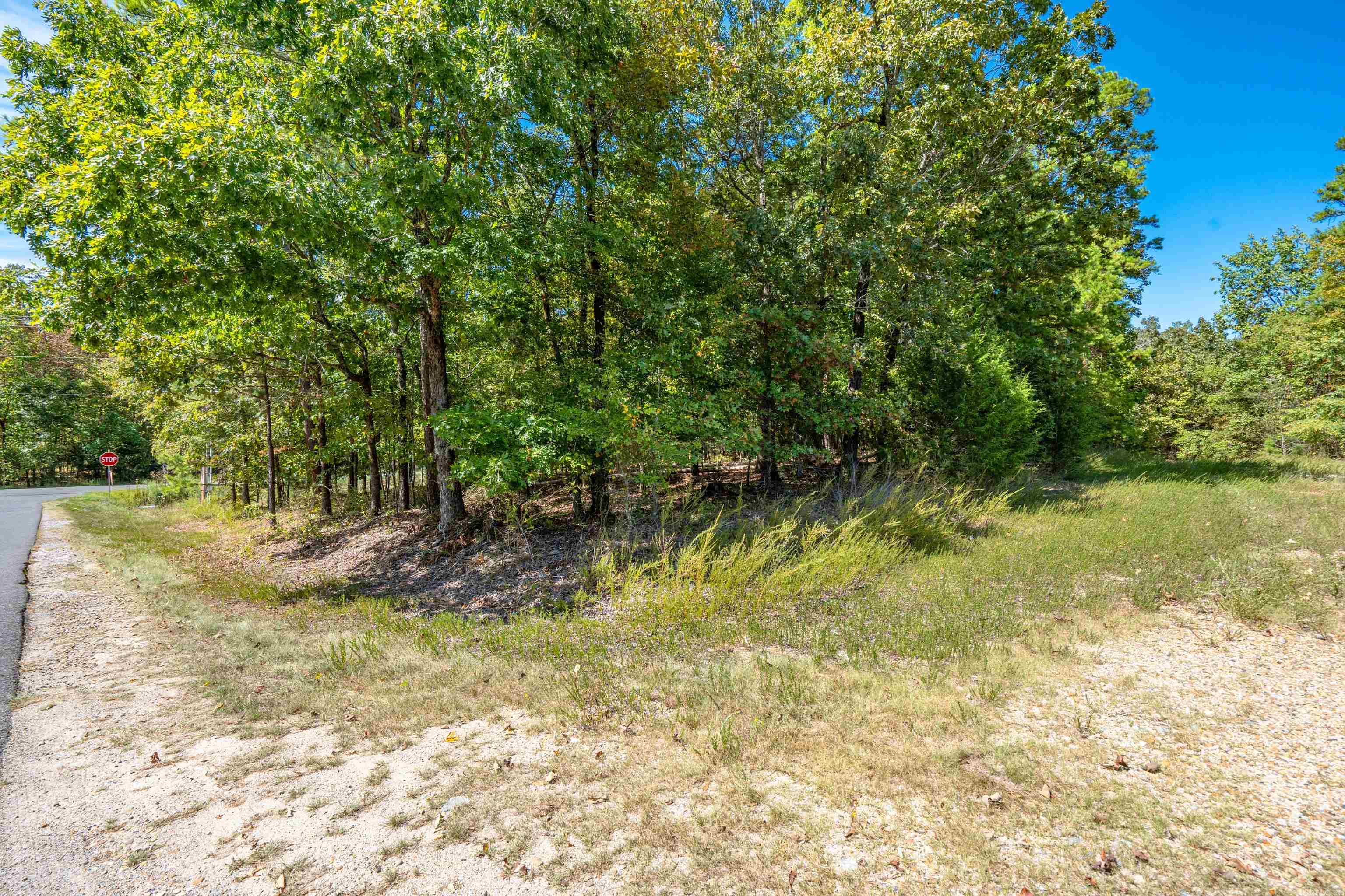 1 Campeon Place Property Photo 2