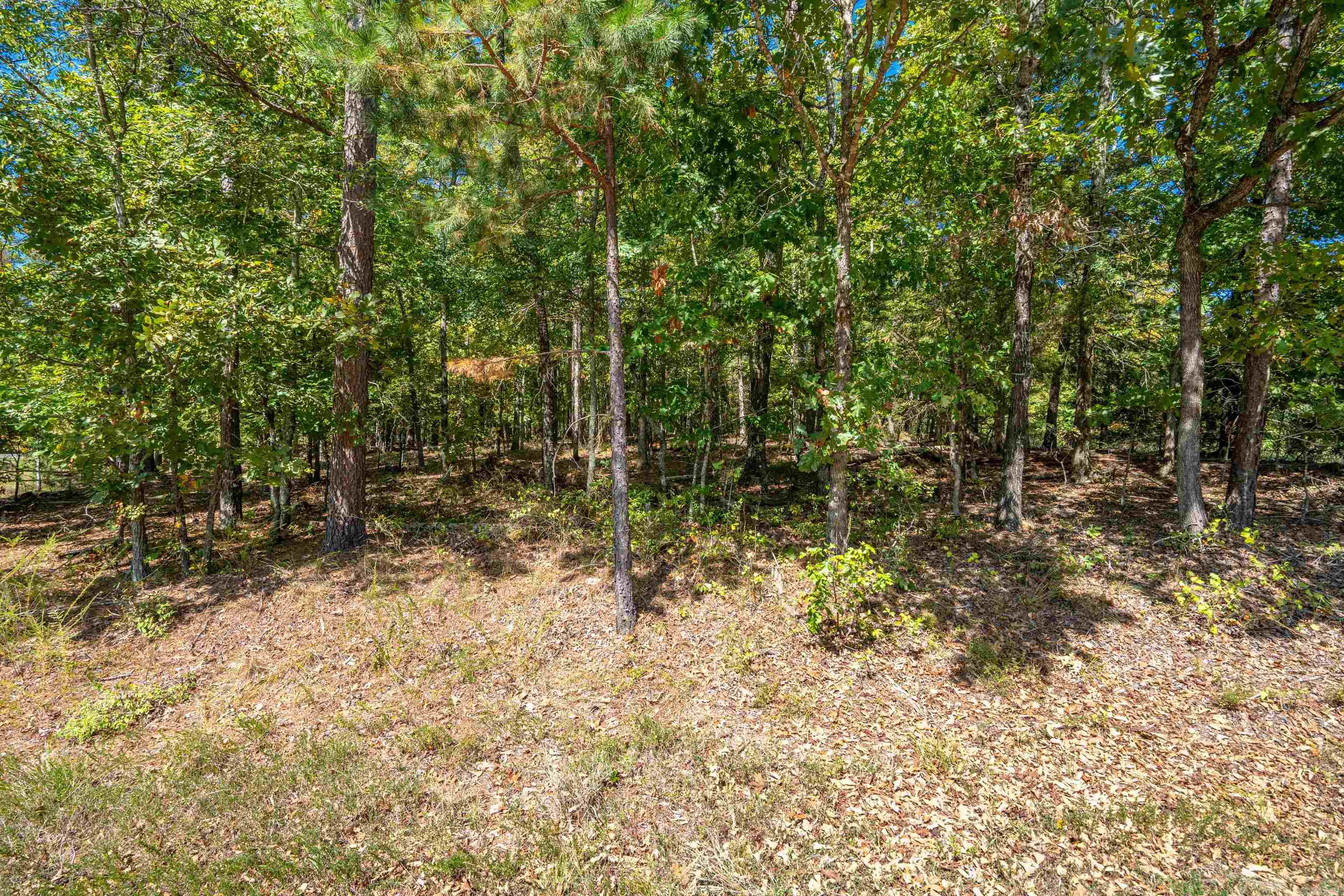 1 Campeon Place Property Photo 3
