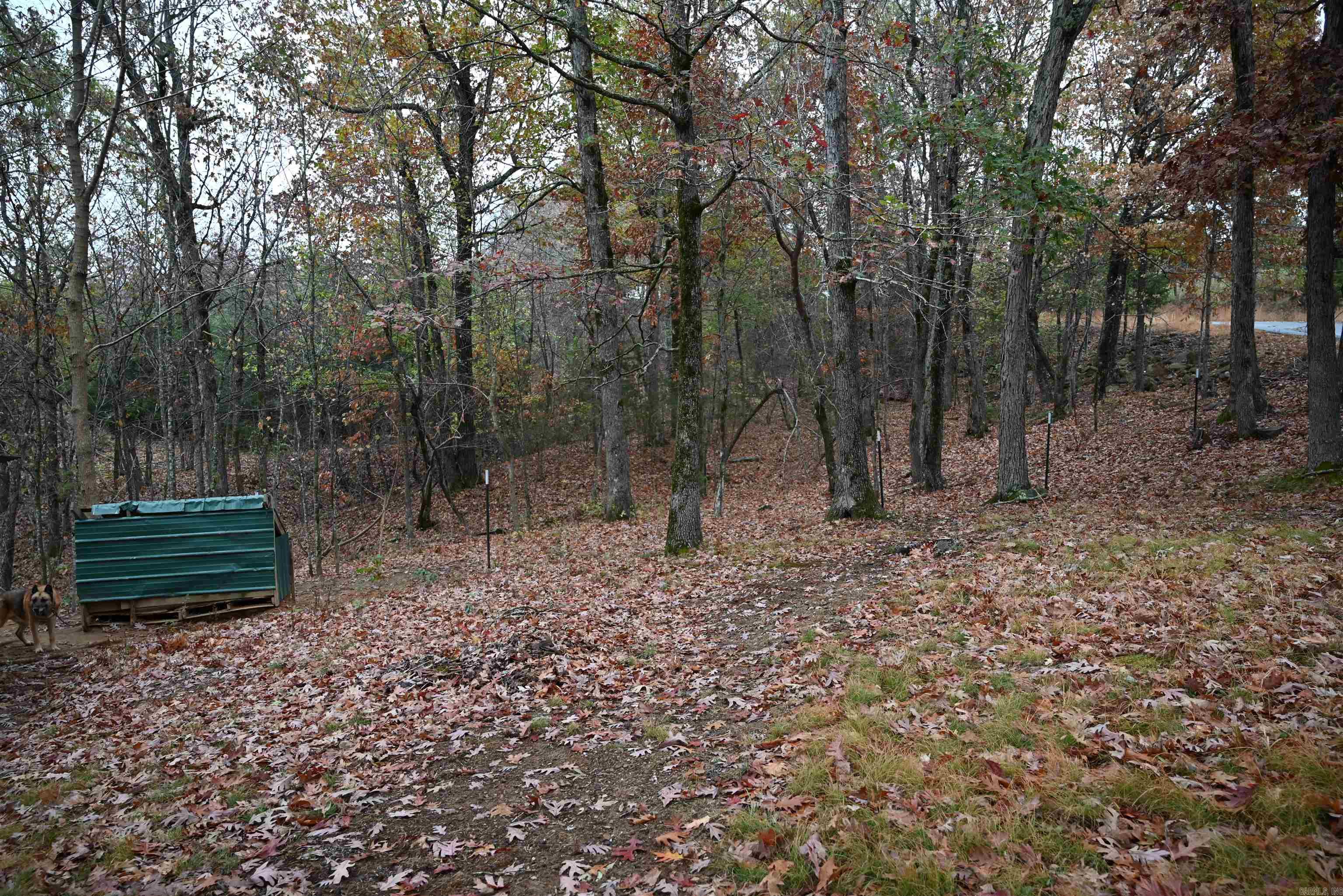 347 Nc 6313 Property Photo 4