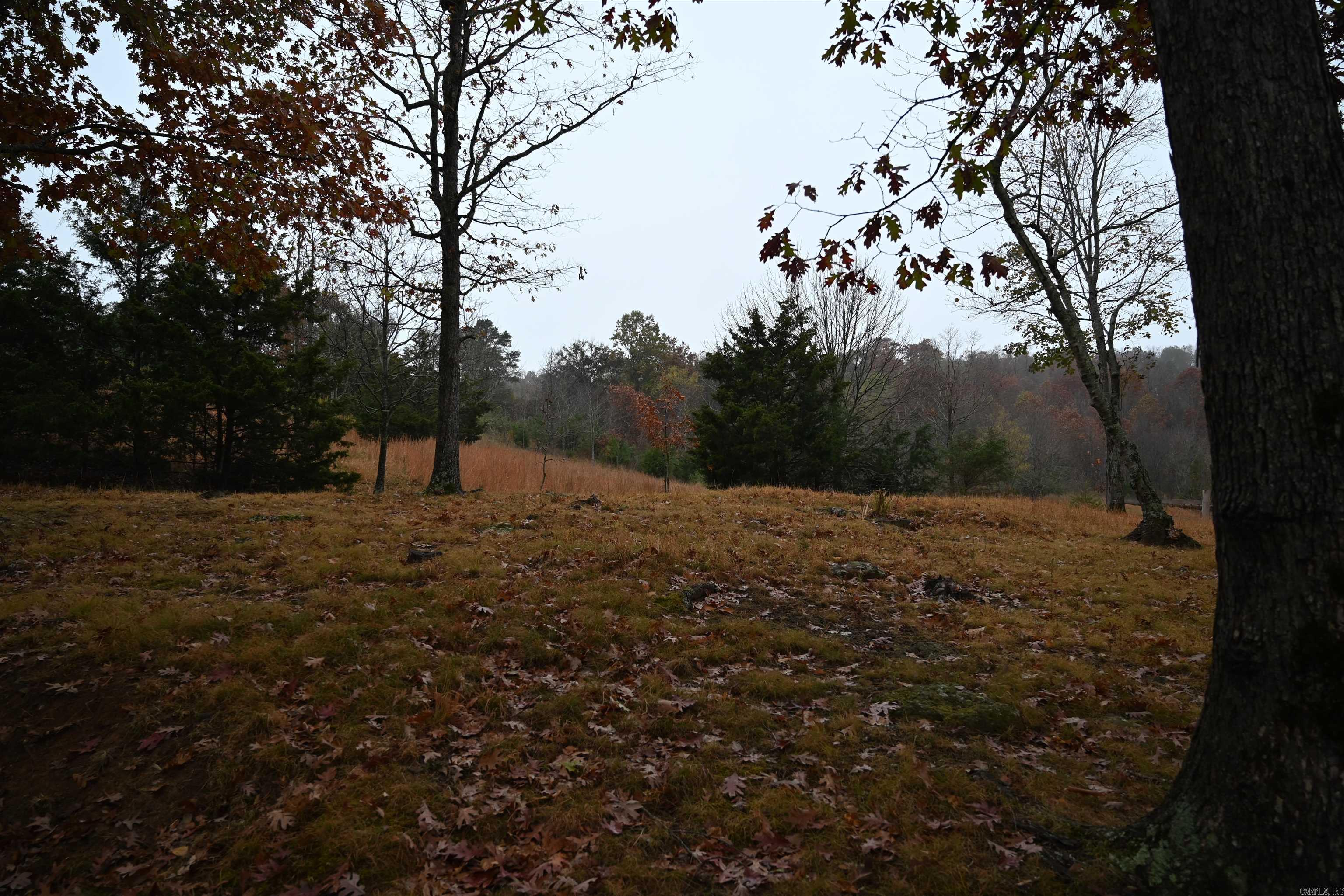 347 Nc 6313 Property Photo 7
