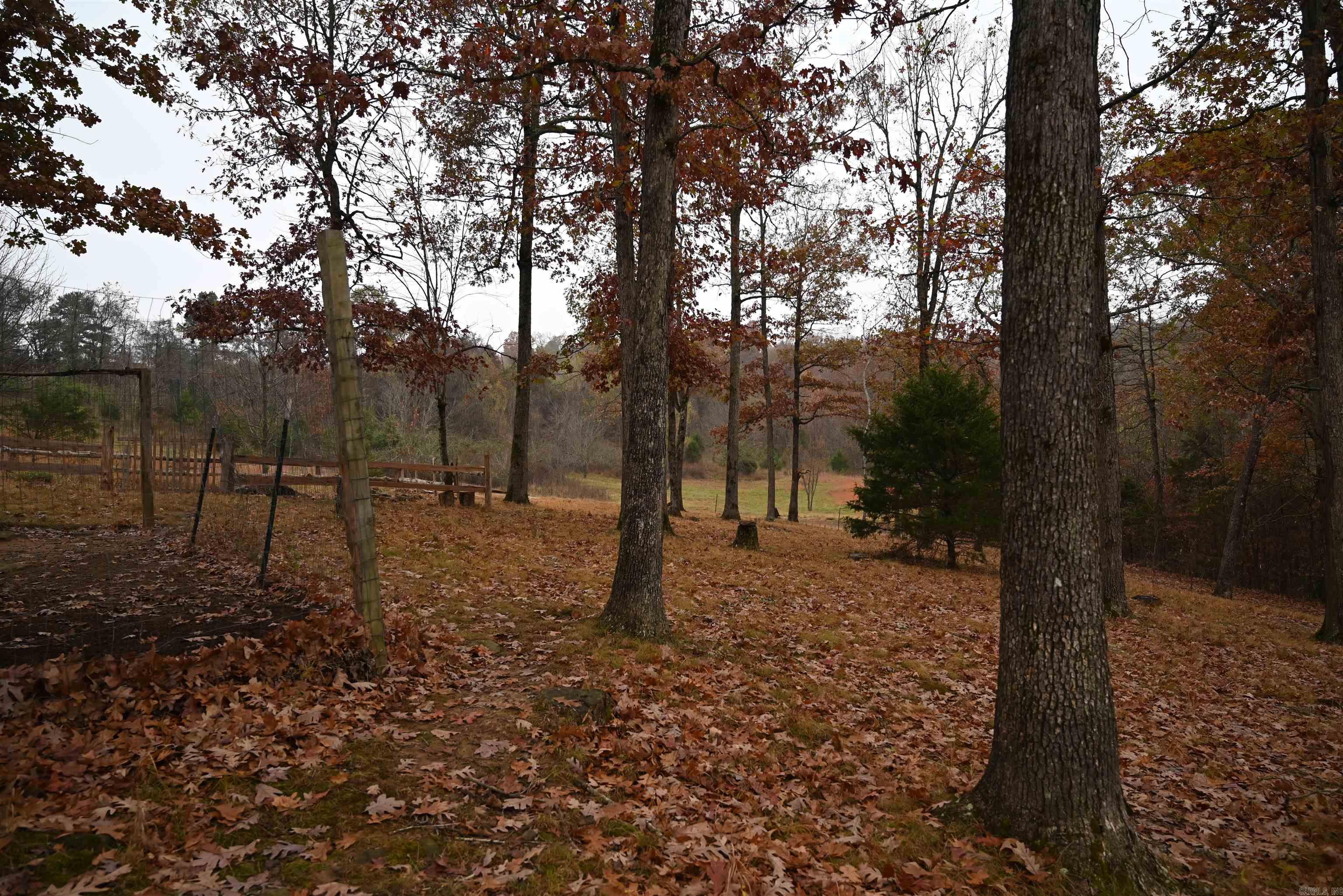 347 Nc 6313 Property Photo 10