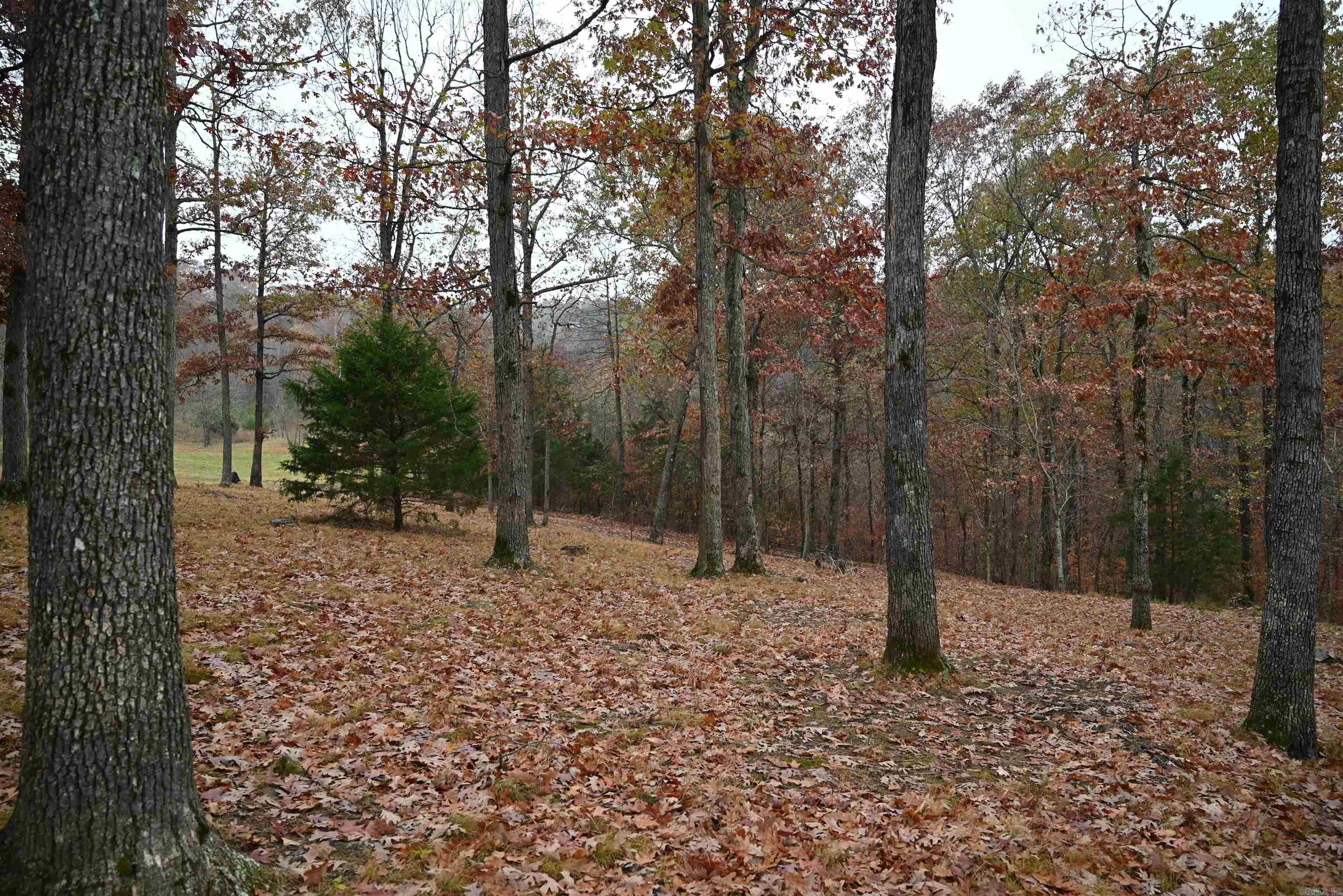 347 Nc 6313 Property Photo 11