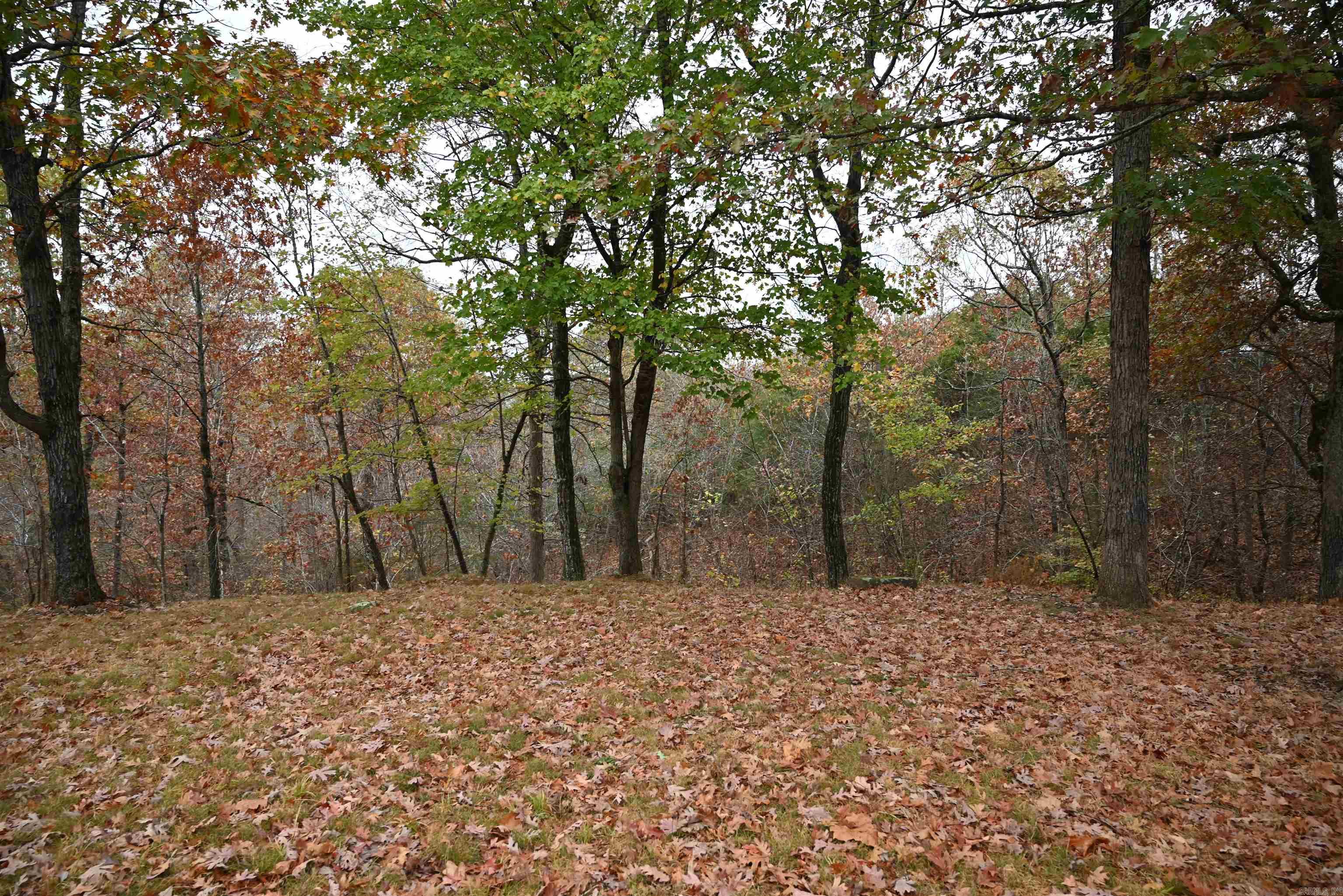 347 Nc 6313 Property Photo 18