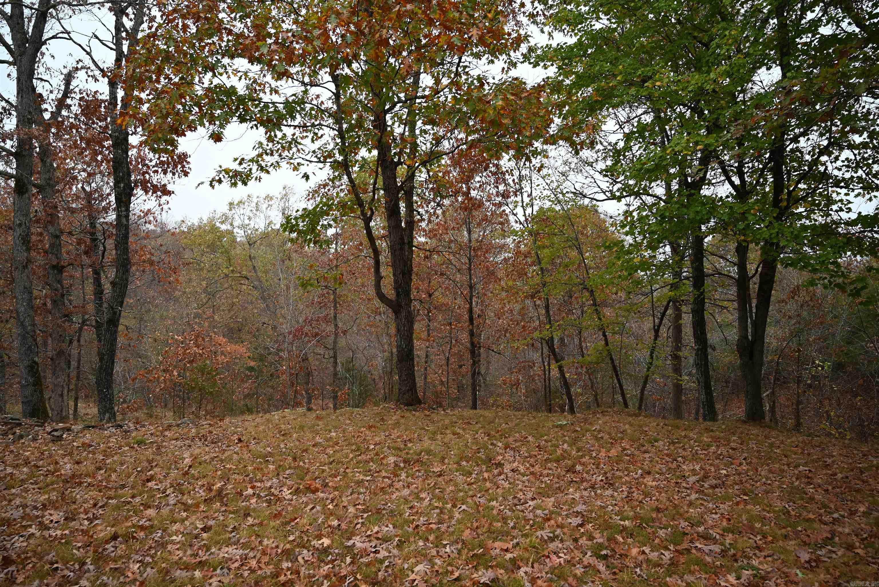 347 Nc 6313 Property Photo 19