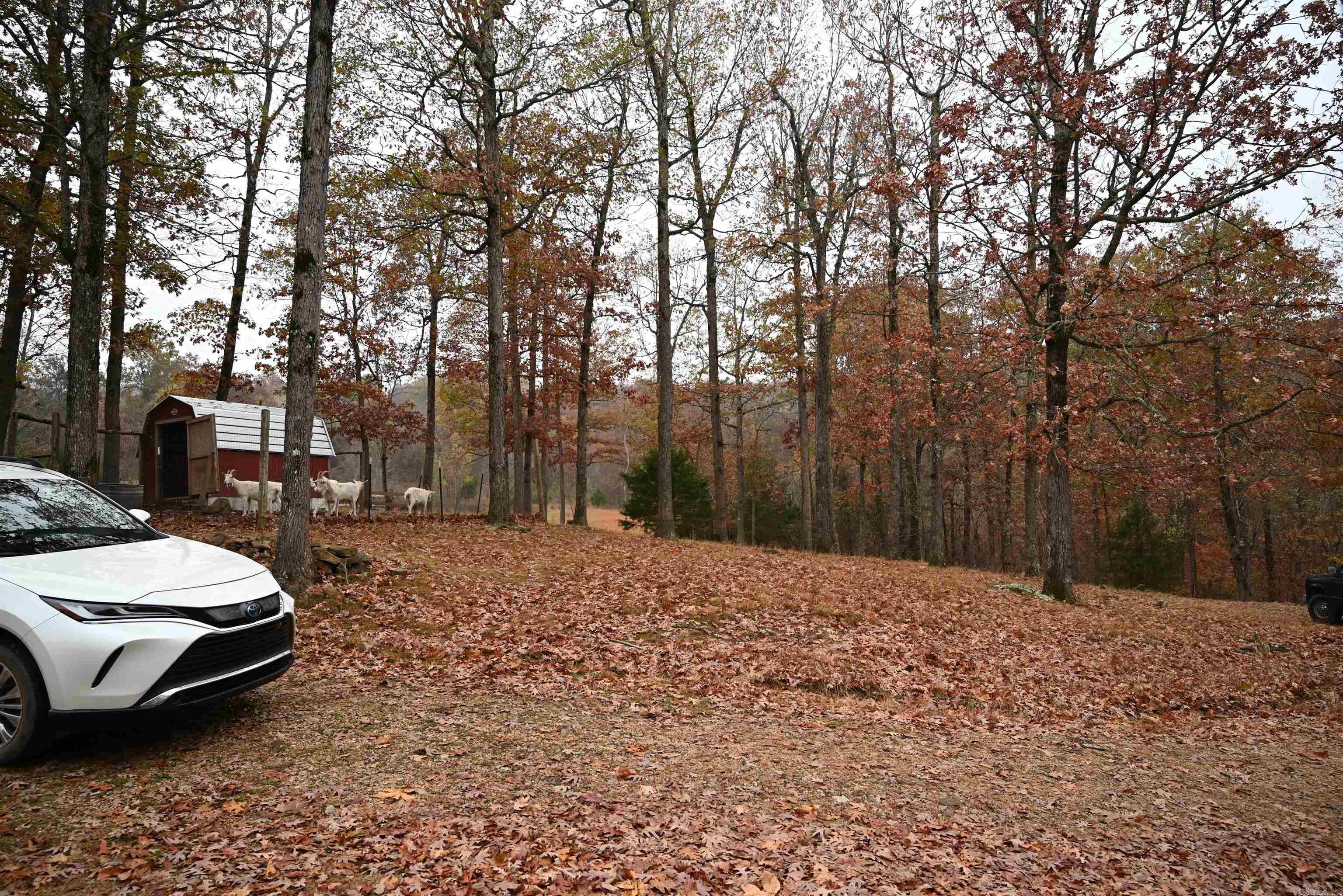 347 Nc 6313 Property Photo 21