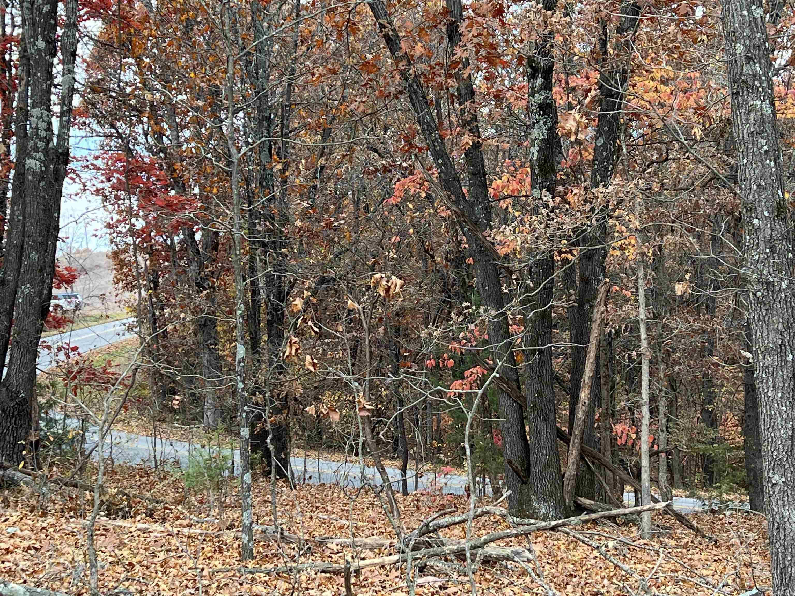 37.64 Ac Dubuque Road Property Photo 9