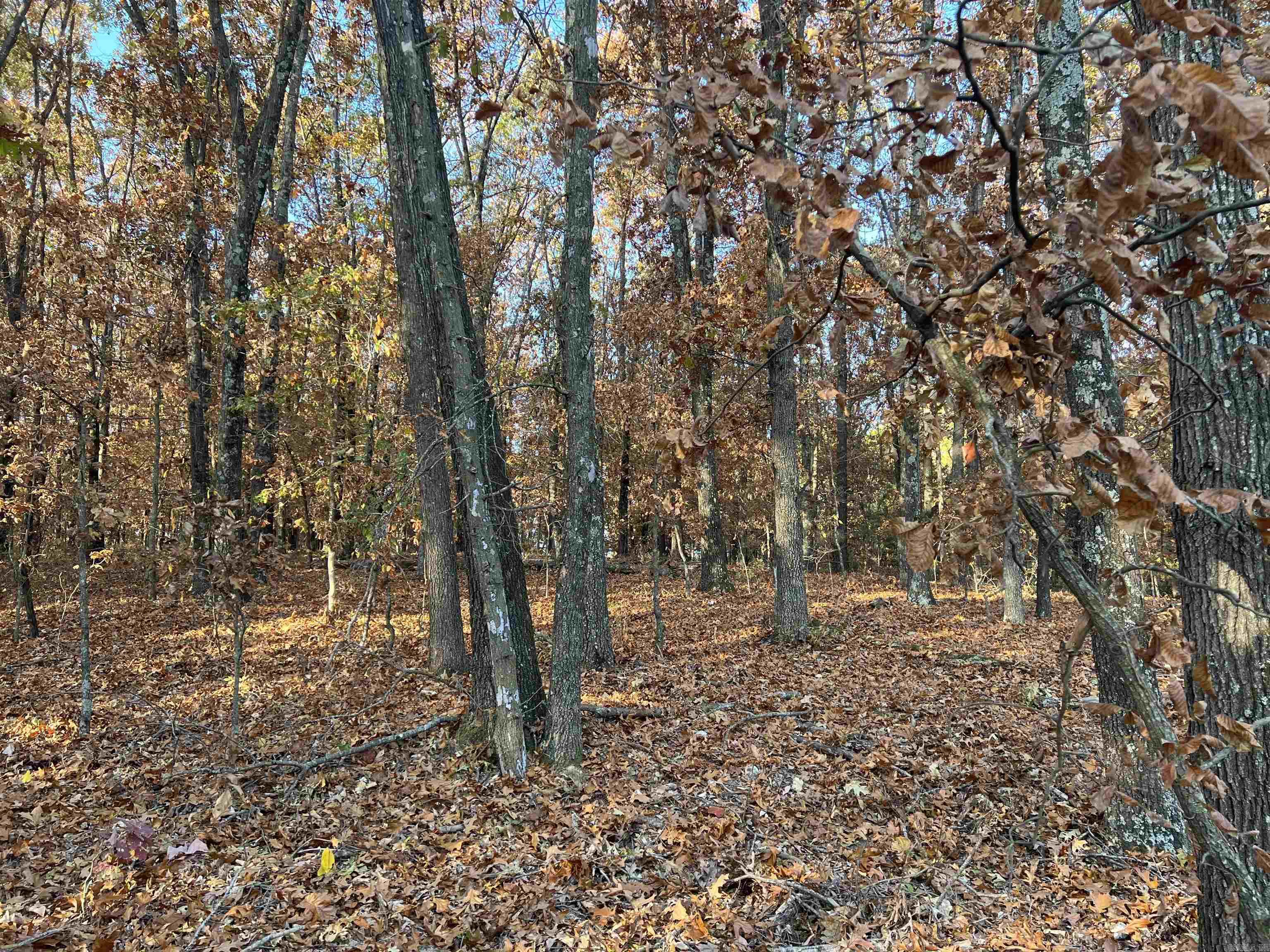 37.64 Ac Dubuque Road Property Photo 10