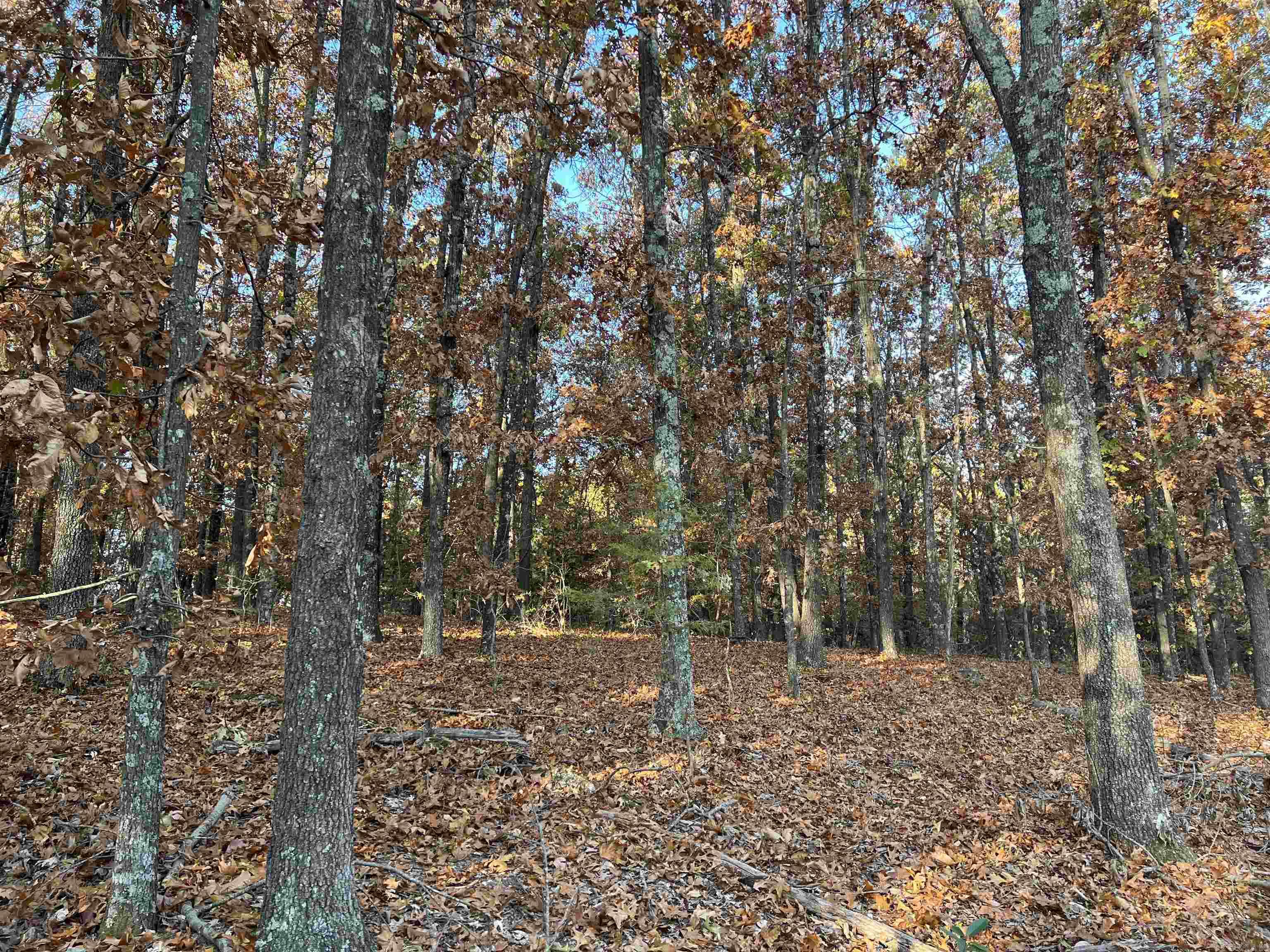 37.64 Ac Dubuque Road Property Photo 11