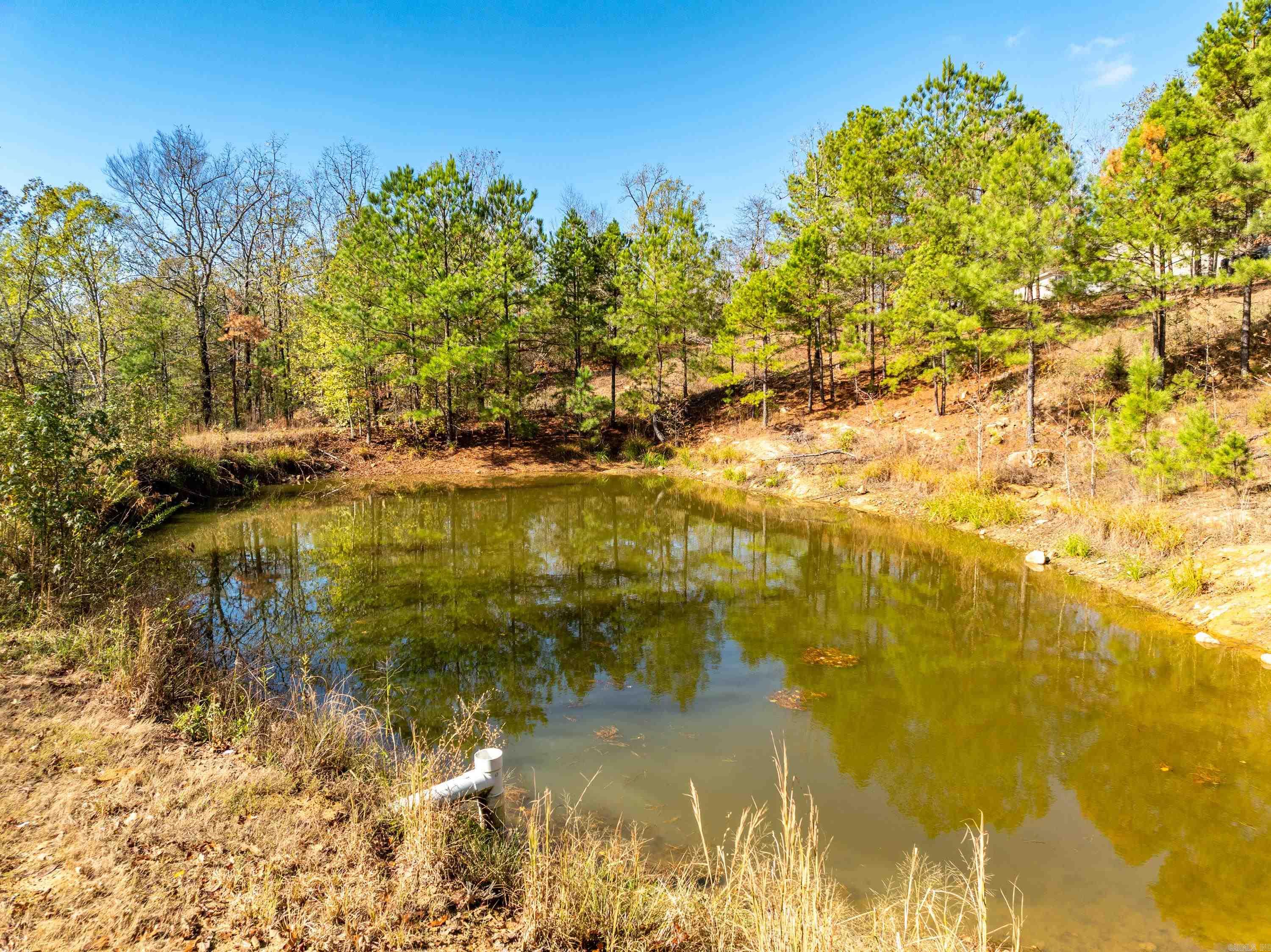 250 Peaceful Hills Lane Property Photo 46