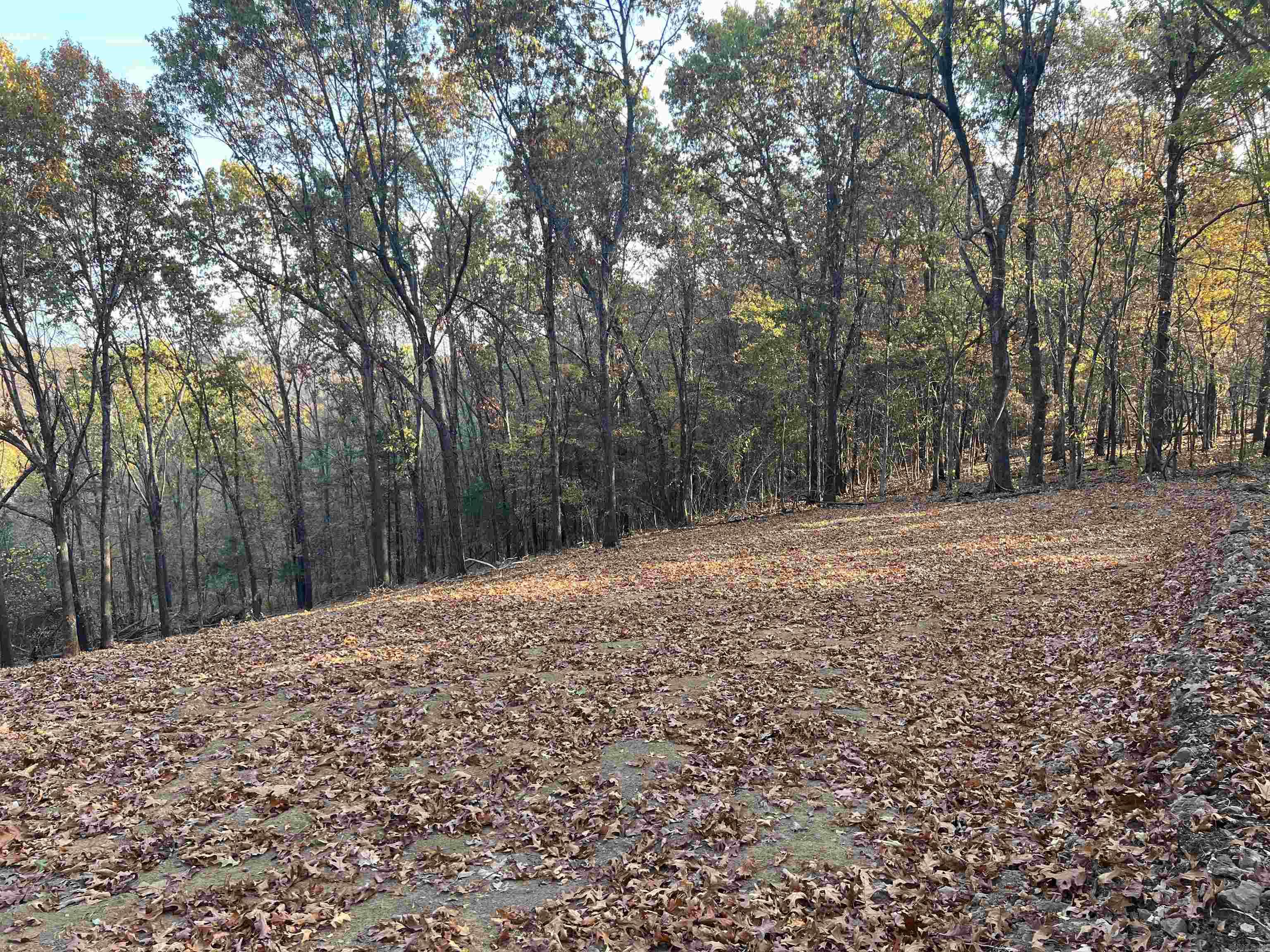 17.03 Ac Jackson Ridge Property Photo 1
