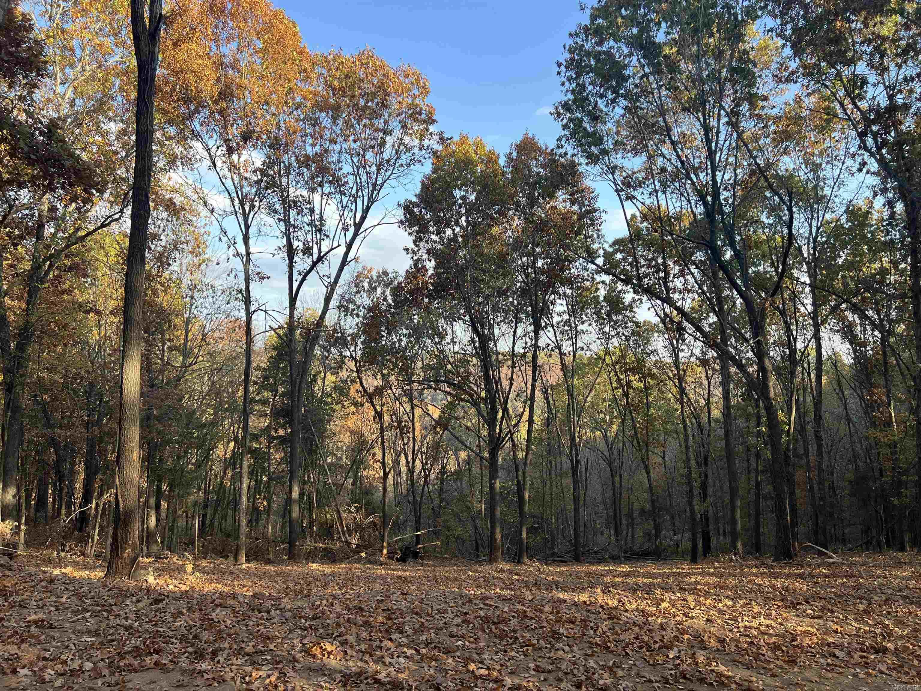 17.03 Ac Jackson Ridge Property Photo 2