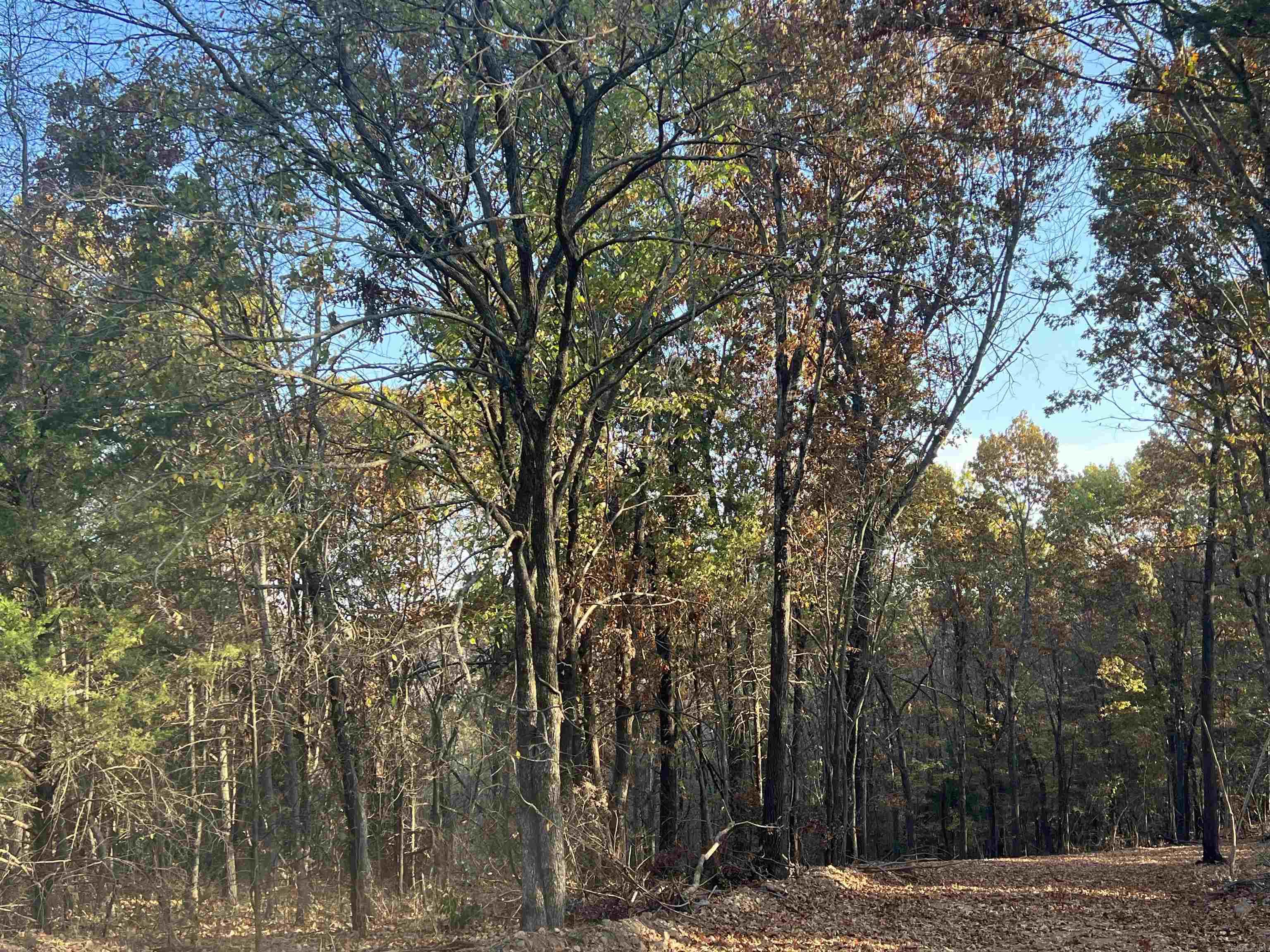 17.03 Ac Jackson Ridge Property Photo 3