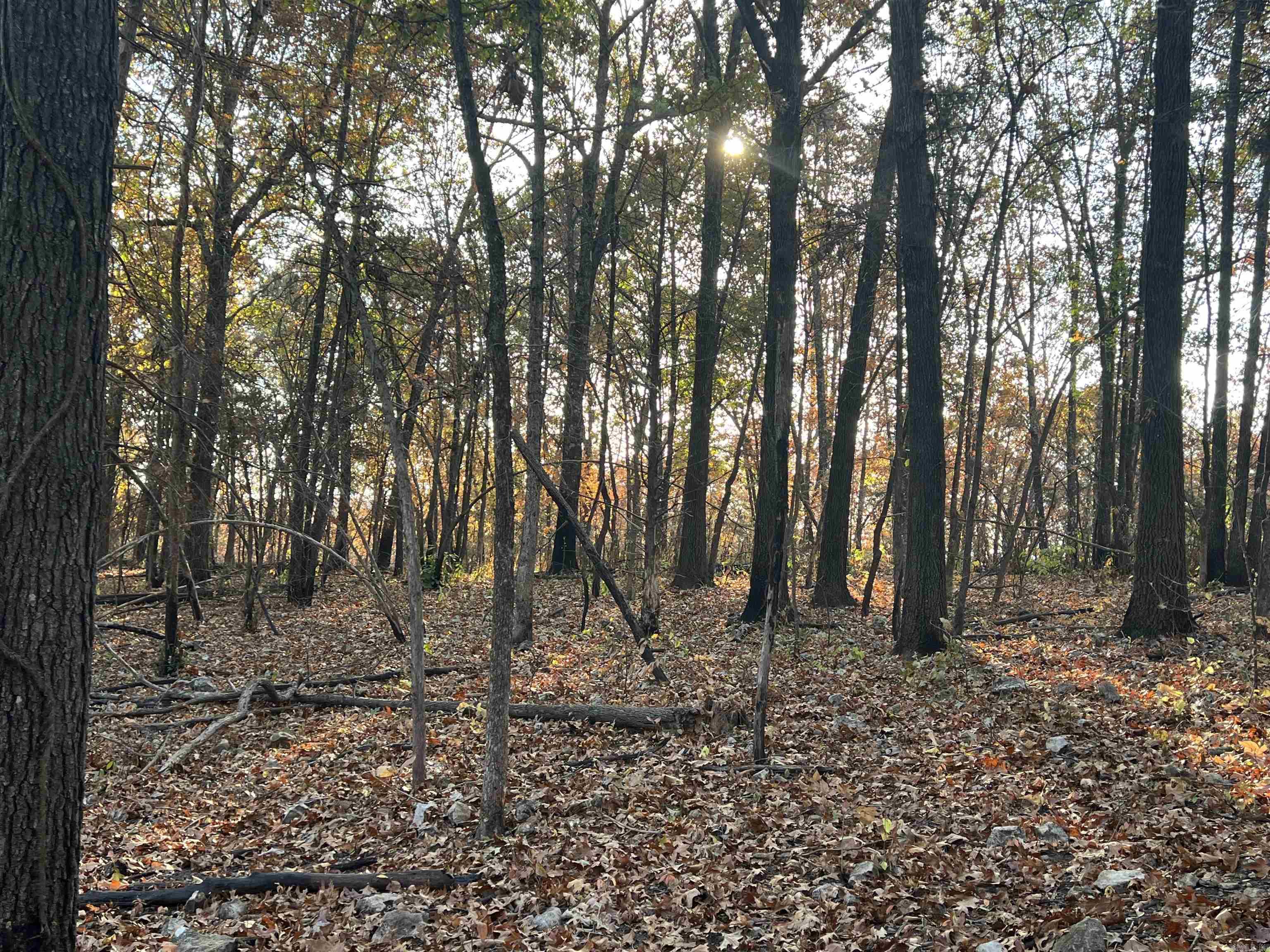 17.03 Ac Jackson Ridge Property Photo 4
